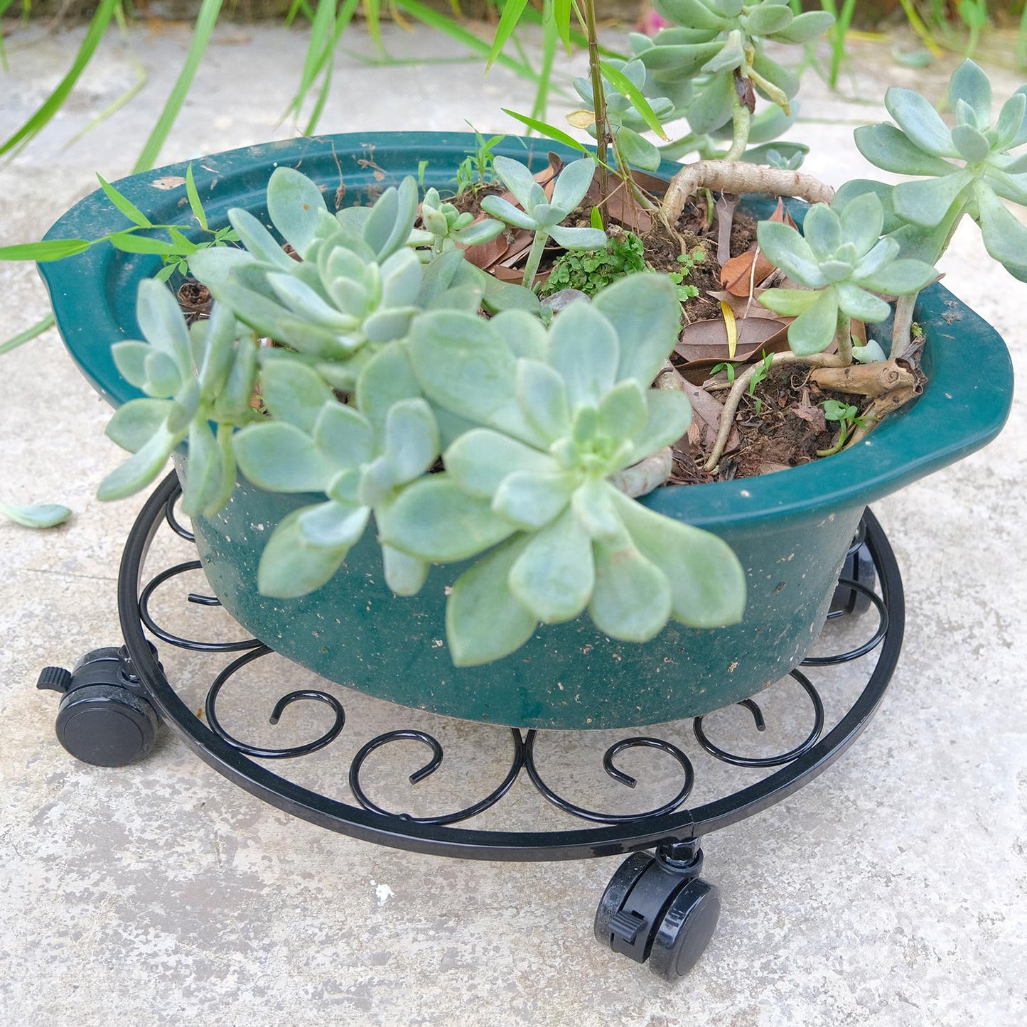 lucpur 6 Pack Metal Plant Stand with Wheels 13.5 Inch Plant Caddy with Wheels Heavy Duty Wrought Iron Rolling Plant Stand Plant Dolly Plant Rollers Plant Cart Plant Mover with 6 Pack Plant Saucers