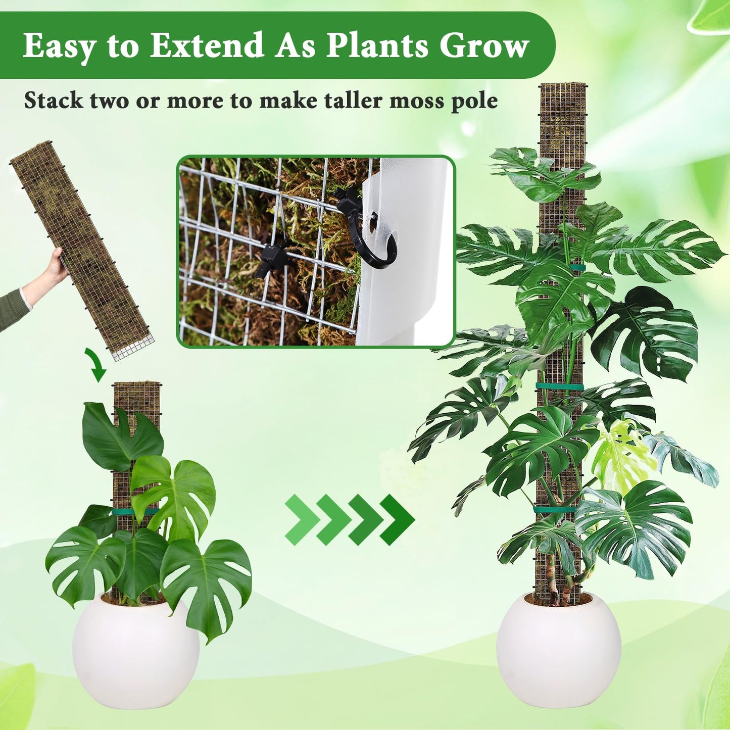 24"+40"+60" Metal Moss Pole - 6 Pack D Shape Sphagnum Moss Pole, Moss Poles for Climbing Plants, Monstera, Climbing Plants Indoor
