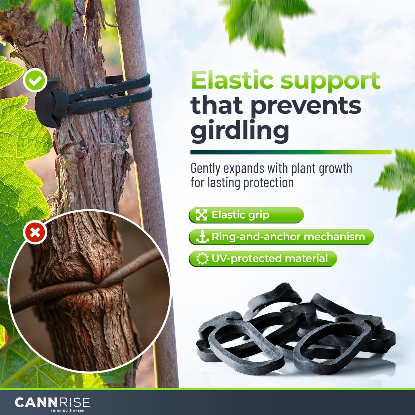 Anchor Bands for Trellising – 110-Pack 5 cm/1.96 in Rubber Vine Ties, UV-Protected Bands: Grapevines, Trees & Climbing Plants – Tool-Free Loop-and-Anchor Design for Install, Weatherproof