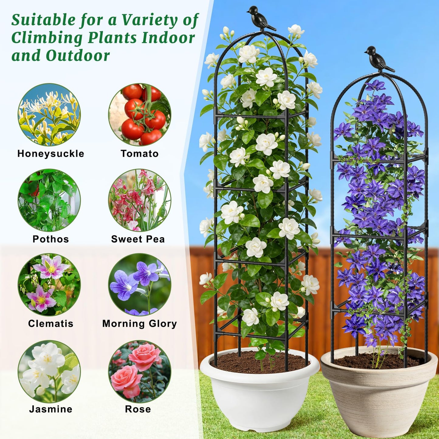 Fabulas Garden Obelisk Trellis for Climbing Plants Outdoor, 6 Ft Rustproof Plastic Coated Metal Vine Plant Trellis Support for Pots, Wisteria, Morning Glory, Clematis, Jasmine, Rose, Tomato, 2 Pack