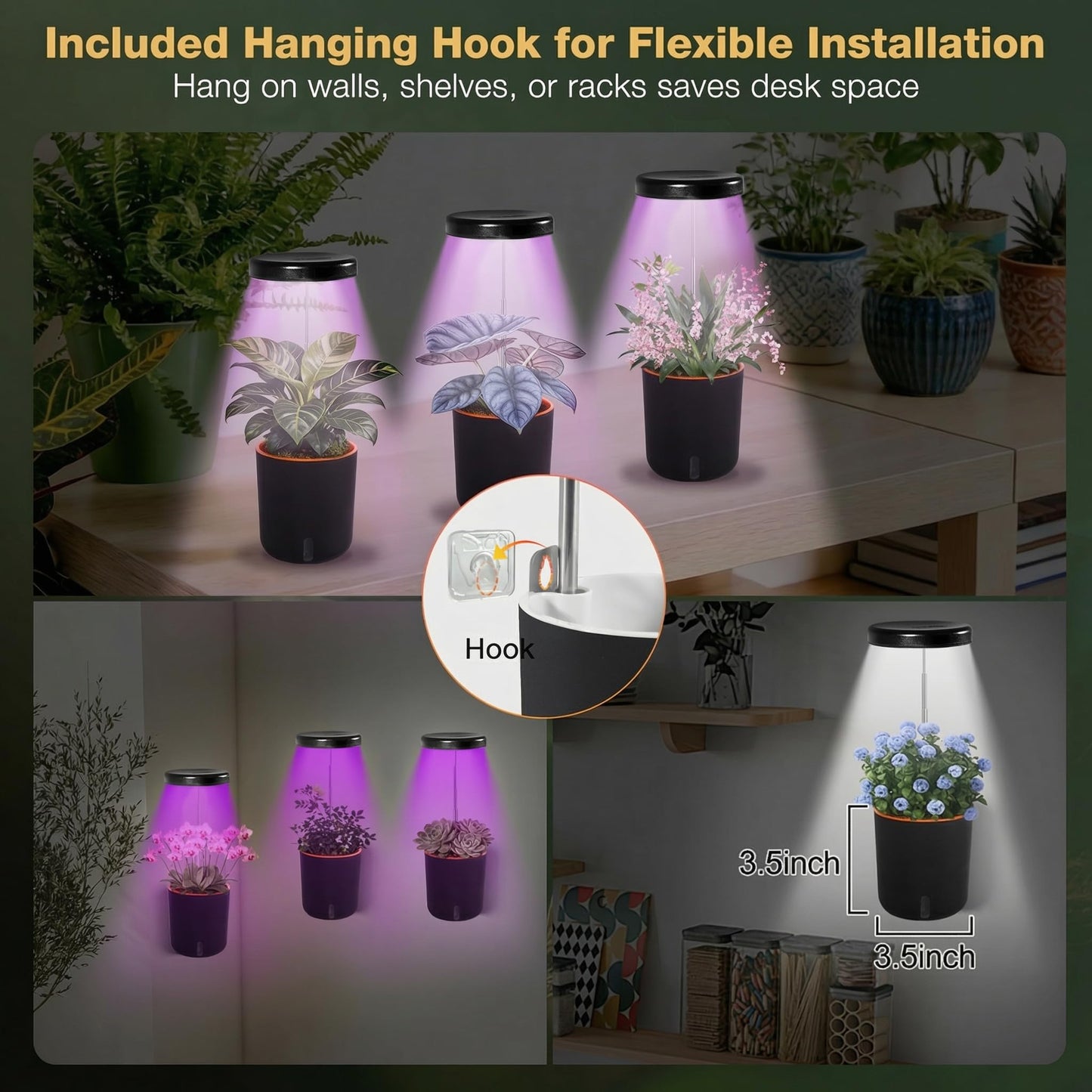 Raygrov Self-Watering Planter with Grow Light — Indoor Herb Garden Kit, Smart Plant Pot for Microgreens, Cat Grass, Catnip & Houseplants, 2-in-1 Wall + Desktop, USB 5W Full Spectrum LED