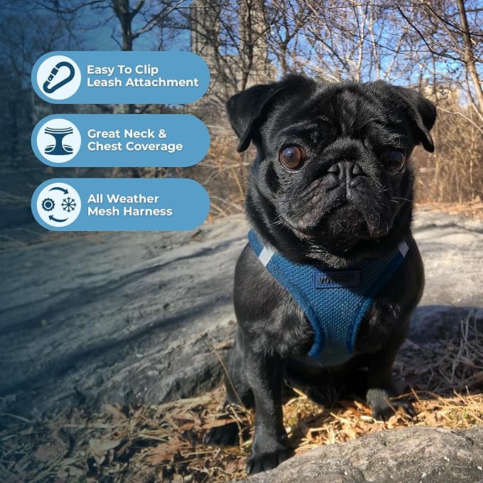 Best Pet Supplies Voyager Step-in Air All Weather Mesh Harness and Reflective Dog 5ft Leash Combo with Neoprene Handle, for Small, Medium and Large Breed Puppies - Blue, Small