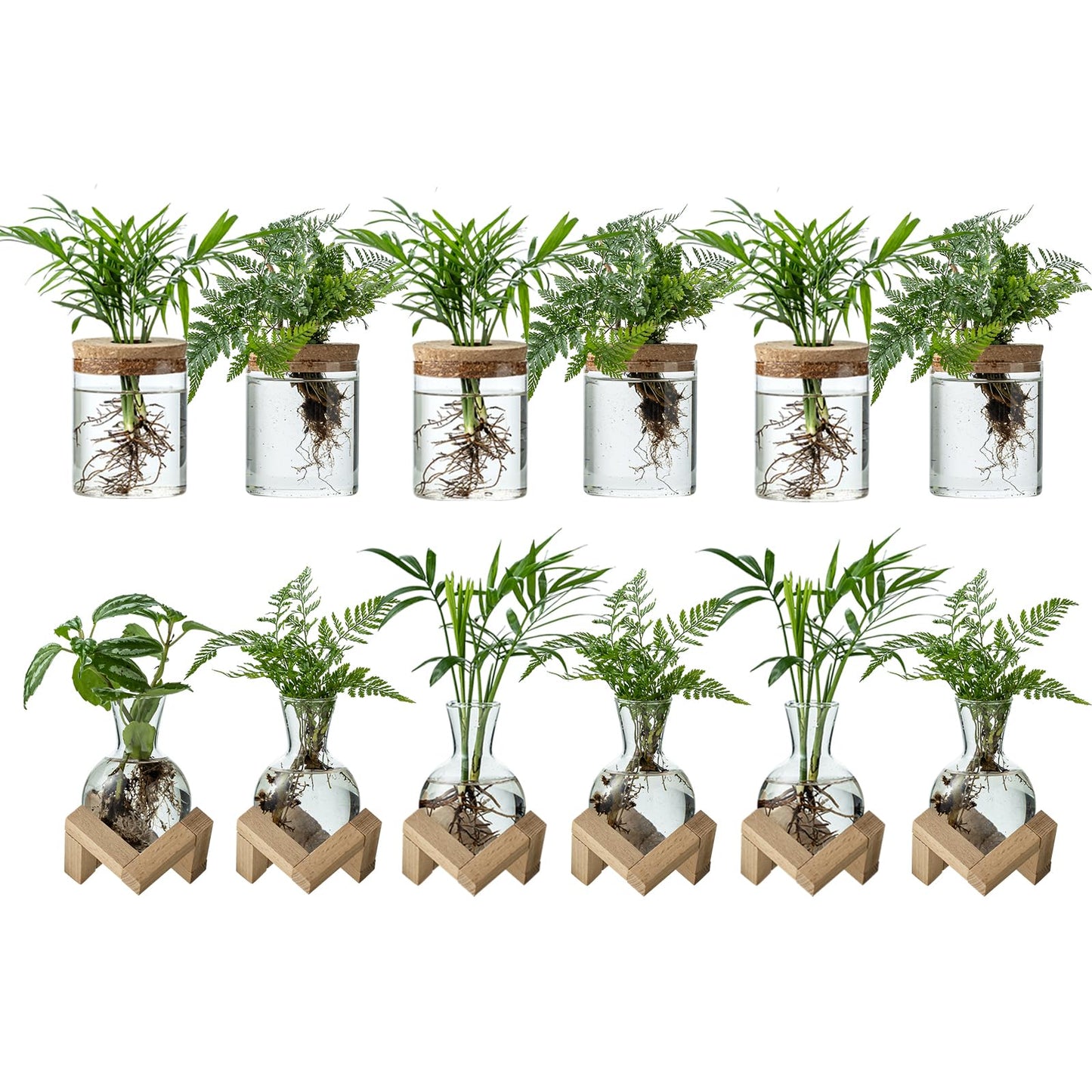 JGKYLDZ Plant Propagation Station, 2 Style Glass Planter Terrarium Set for Hydroponic Plants | Home Office Tabletop Decor, Gardening Gifts for Women, Mom, Plant Lovers (12)