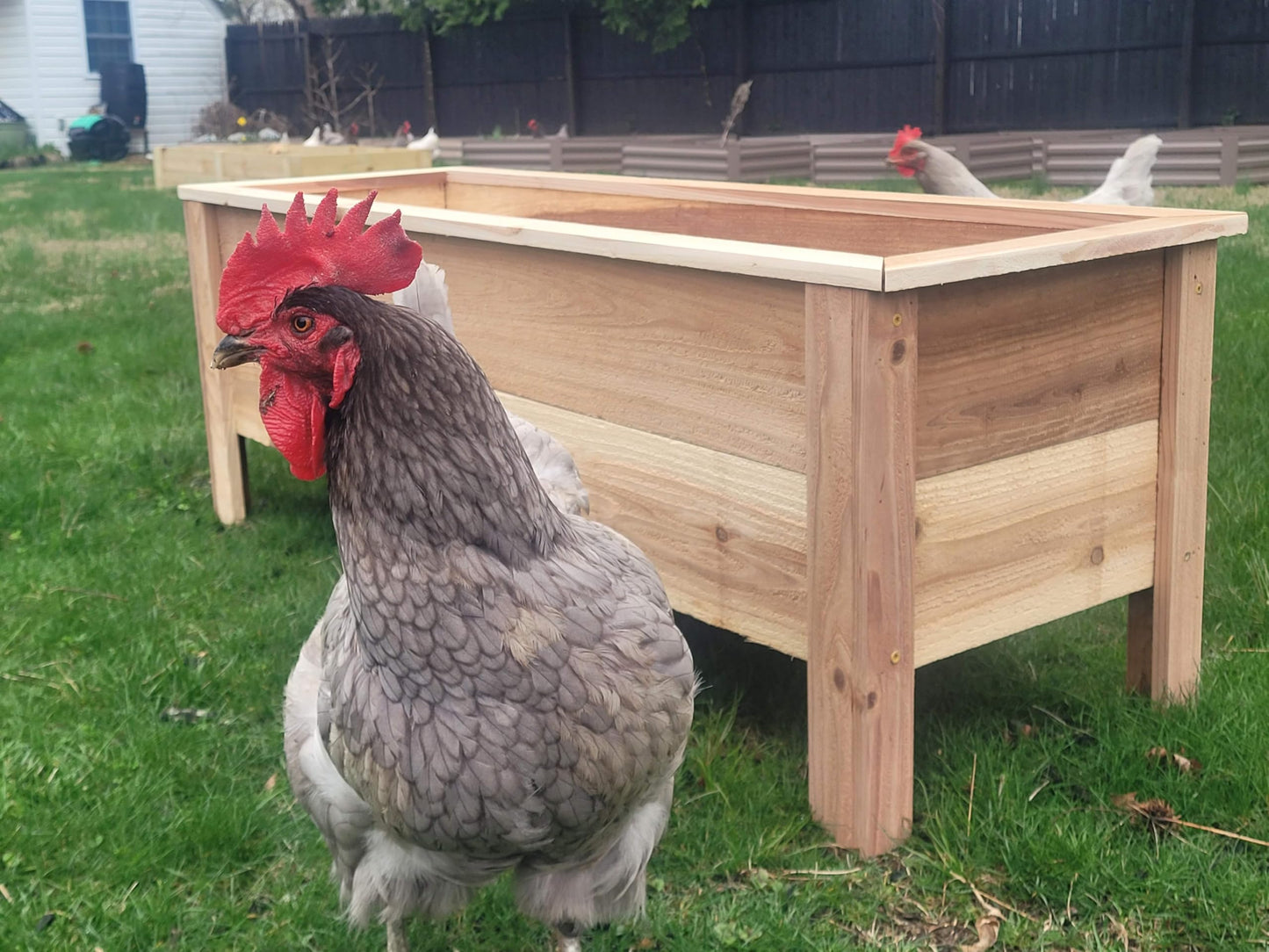 Cedar Raised Garden Bed Planter Box with Legs – Heavy Duty Outdoor Wooden Planter for Vegetables & Flowers, No Bending Elevated Design, Custom Size, Handmade in USA (18in x 15.5in x 16in)