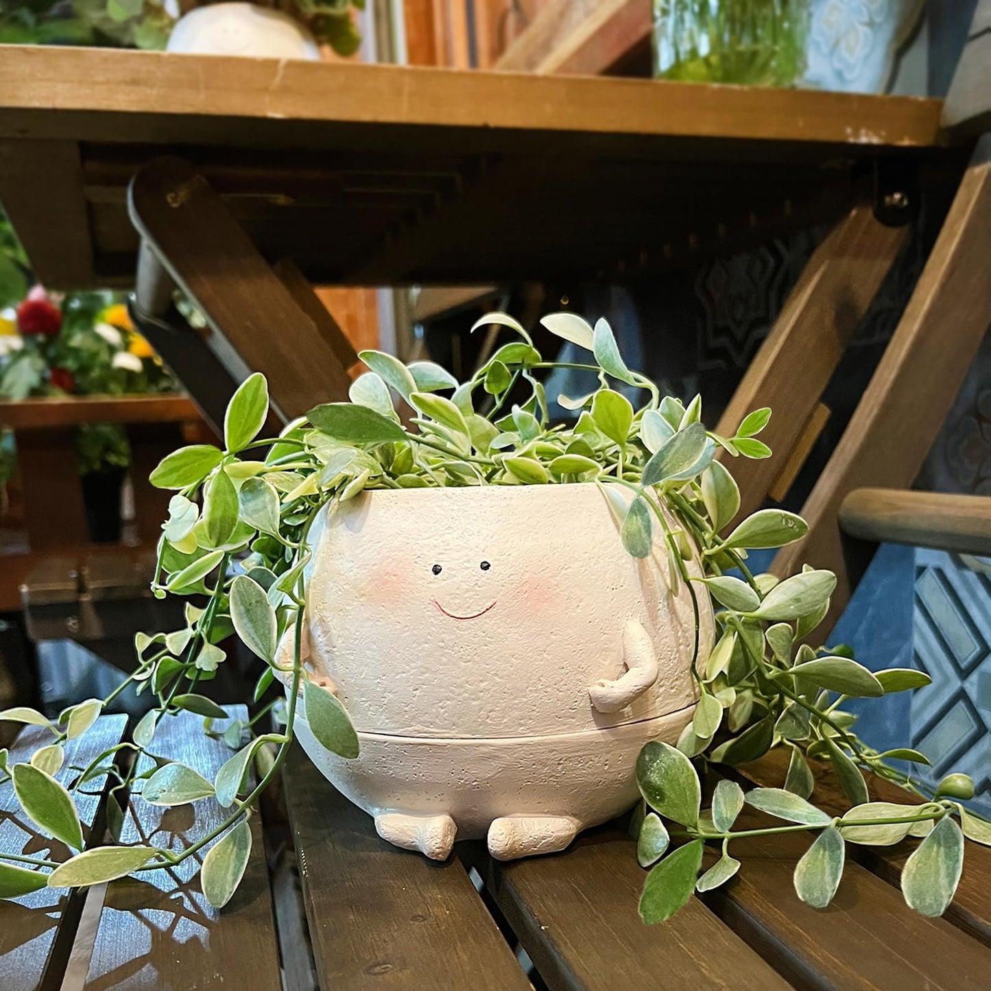 NINIPAPA Self Watering Plant Pot 4 Inch Cute Smile Face Planter Pot for Indoor Outdoor Plants with Drainage Hole Unique Flower Pots for Succulent/Herbs/Violets