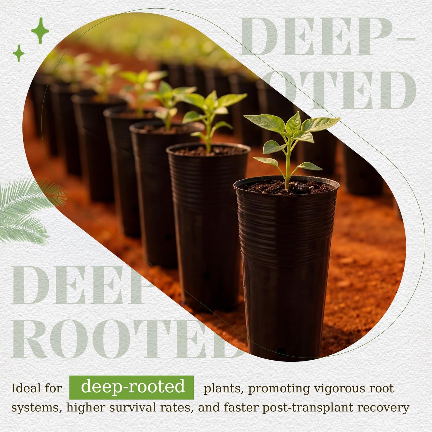 Ferrochef 100 Pack Tall Tree Pot 9.8'' x 4.7'', Black Plastic Deep Nursery Pots, Soft Deep Seedling Pots for Seed Starting, Plant Starter Cups with Drainage Holes for Flowers, Cuttings Transplanting