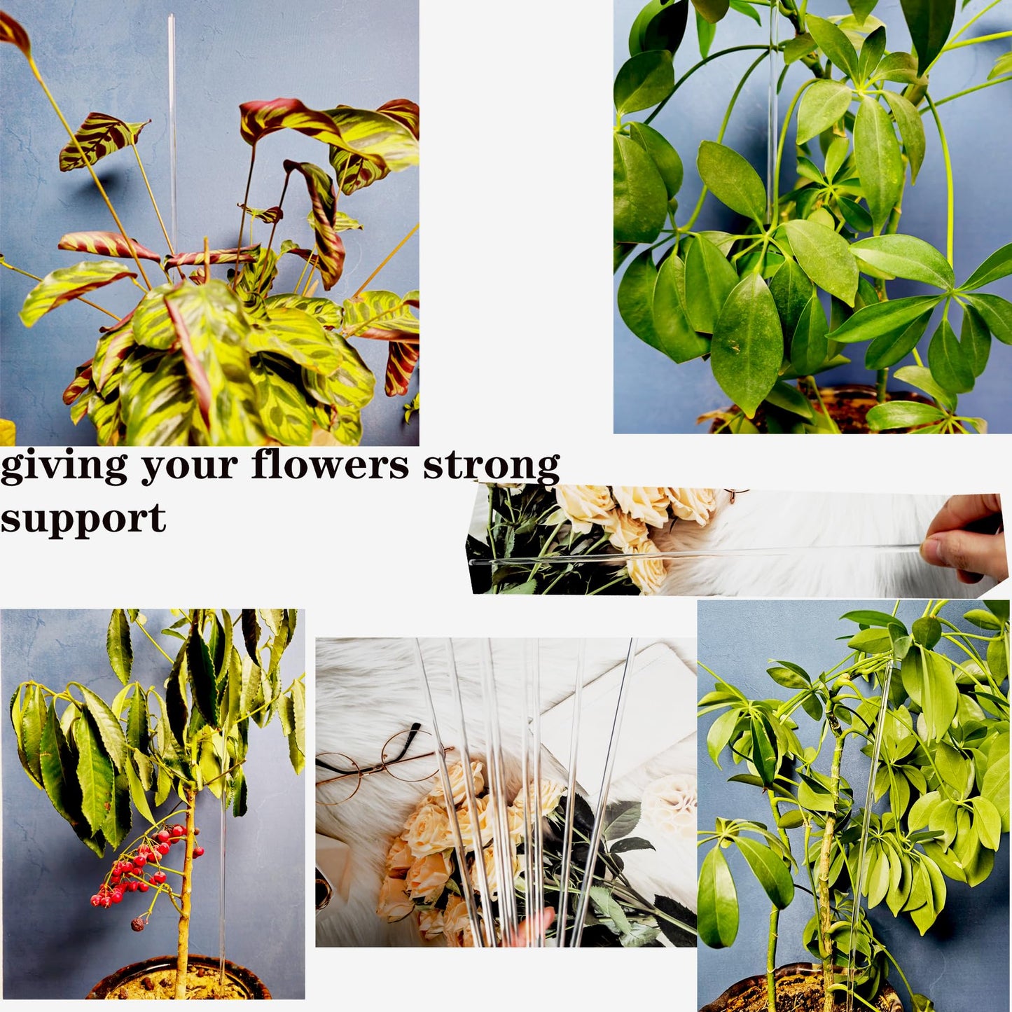 30 Pcs 18 Inch Acrylic Plant Stakes Garden Stakes Clear Orchid Stakes Clear Plant Sticks Potted Plant Christmas Support Stakes for Support Vines Grow Upright Indoor Outdoor Plants