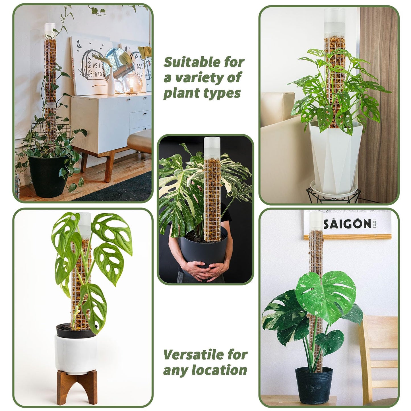 JEGU Self-Watering Moss Pole for Monstera Plant Support, 18.8 Inch Stackable Plastic Moss Pole for Climbing Plants. (2PACK-Lagre)
