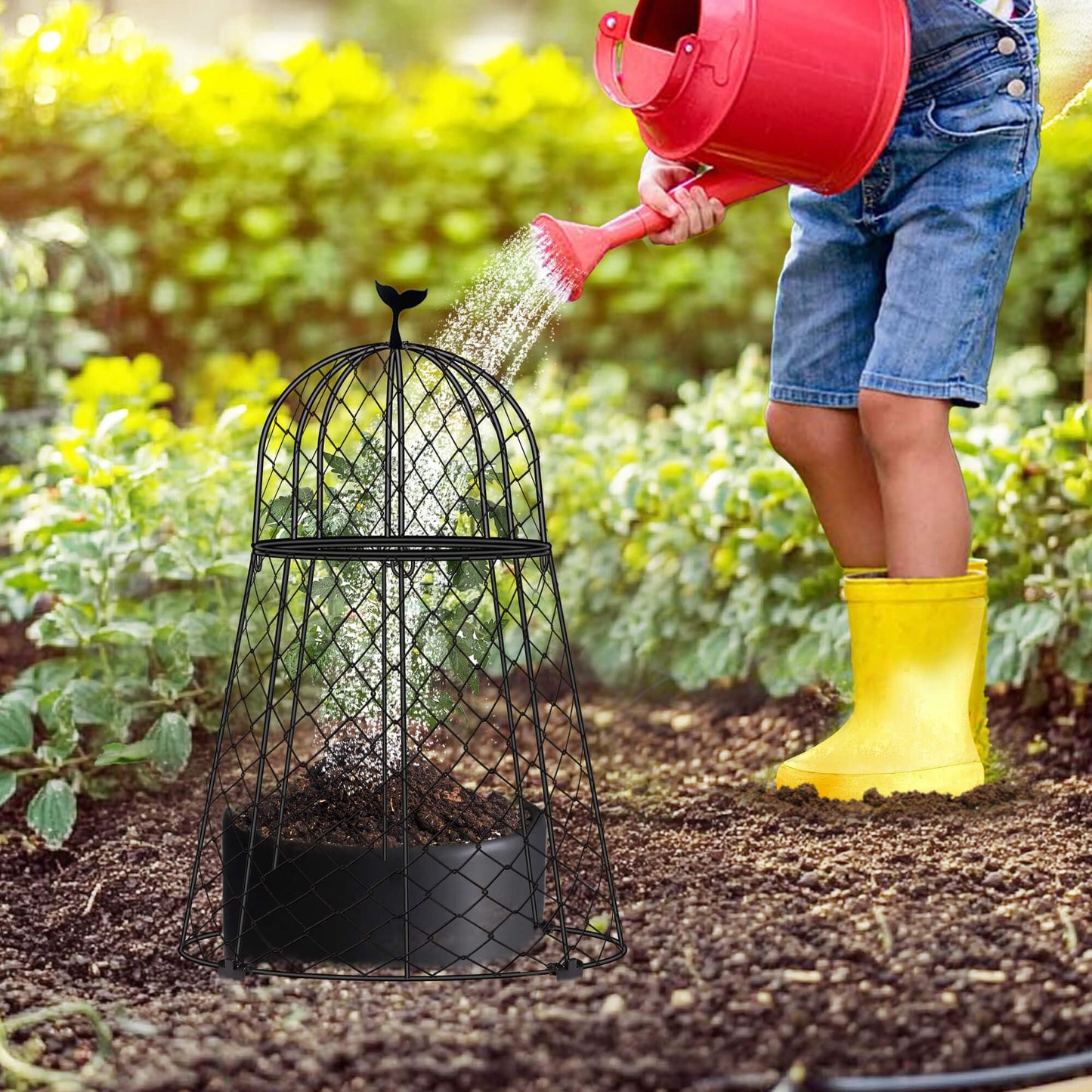 TAOMENNI 6 Packs Garden Cloches for Plants, Plant Protectors from Animals, Chicken Wire Cloche, Plant Cloche and Cage, Protection for Your Plants and Seedlings, 13" D x 20" H - Black