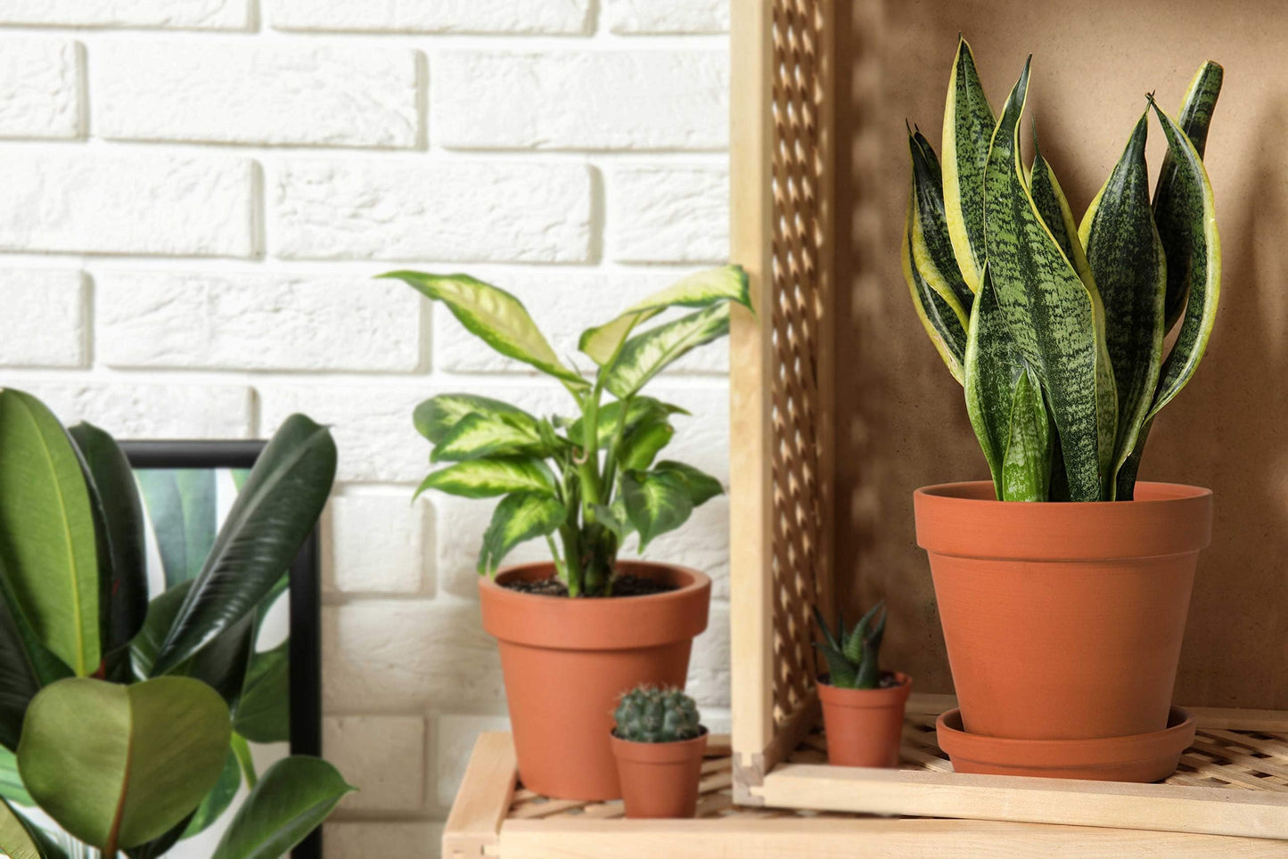 D'vine Dev Pack of 6 Terracotta Pots with Saucers, 4 Inches Terra Cotta Pots with Tray, Clay Pots for Plants & Succulents, Terracotta, 588-A-1-4