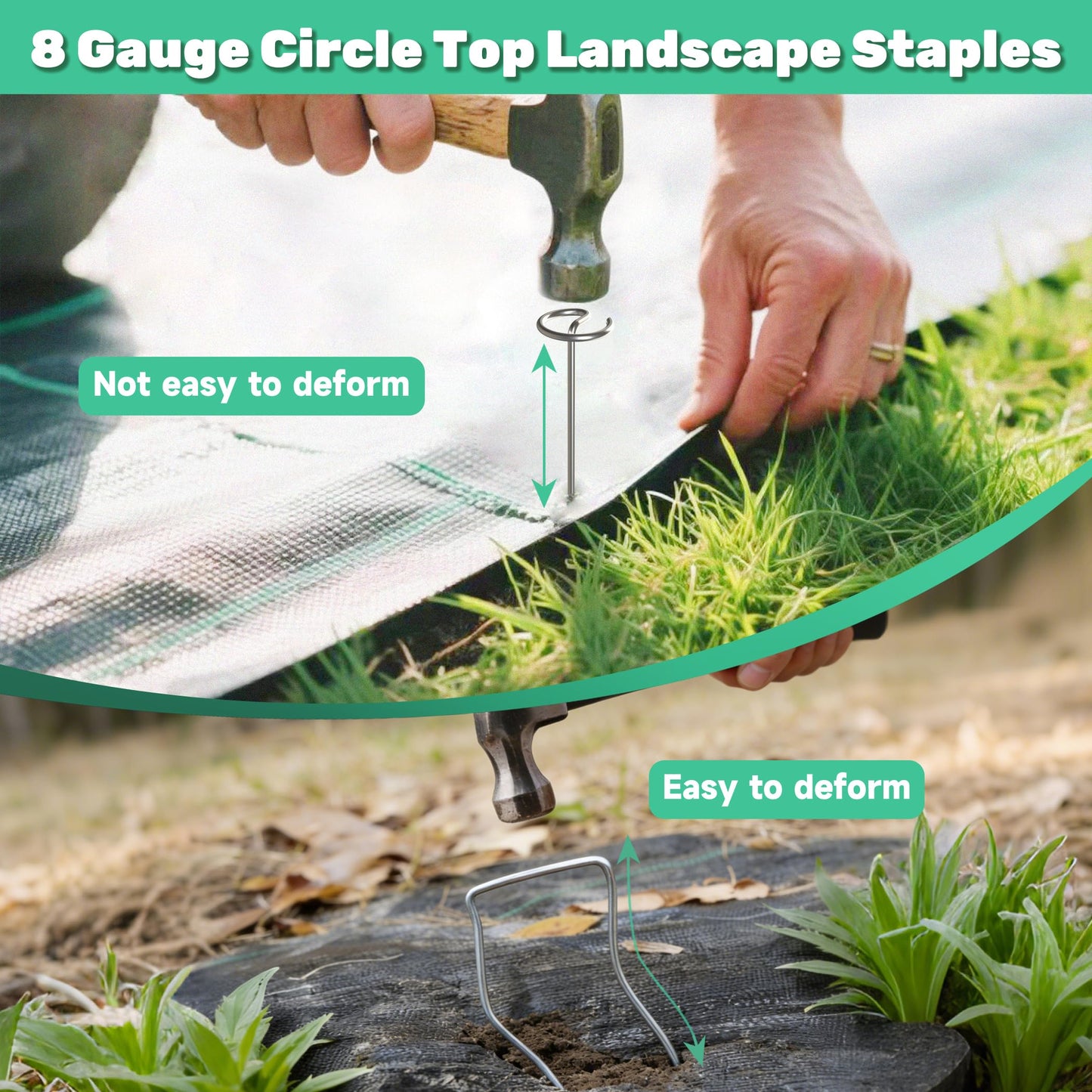 12 Inch 8 Gauge Circle Top Landscape Fabric Staples, HKKZYT 50 Pcs Galvanized Landscape Fabric Pins, Gardening Essentials Garden Weed Barrier Stakes Sod Staples for Outdoor