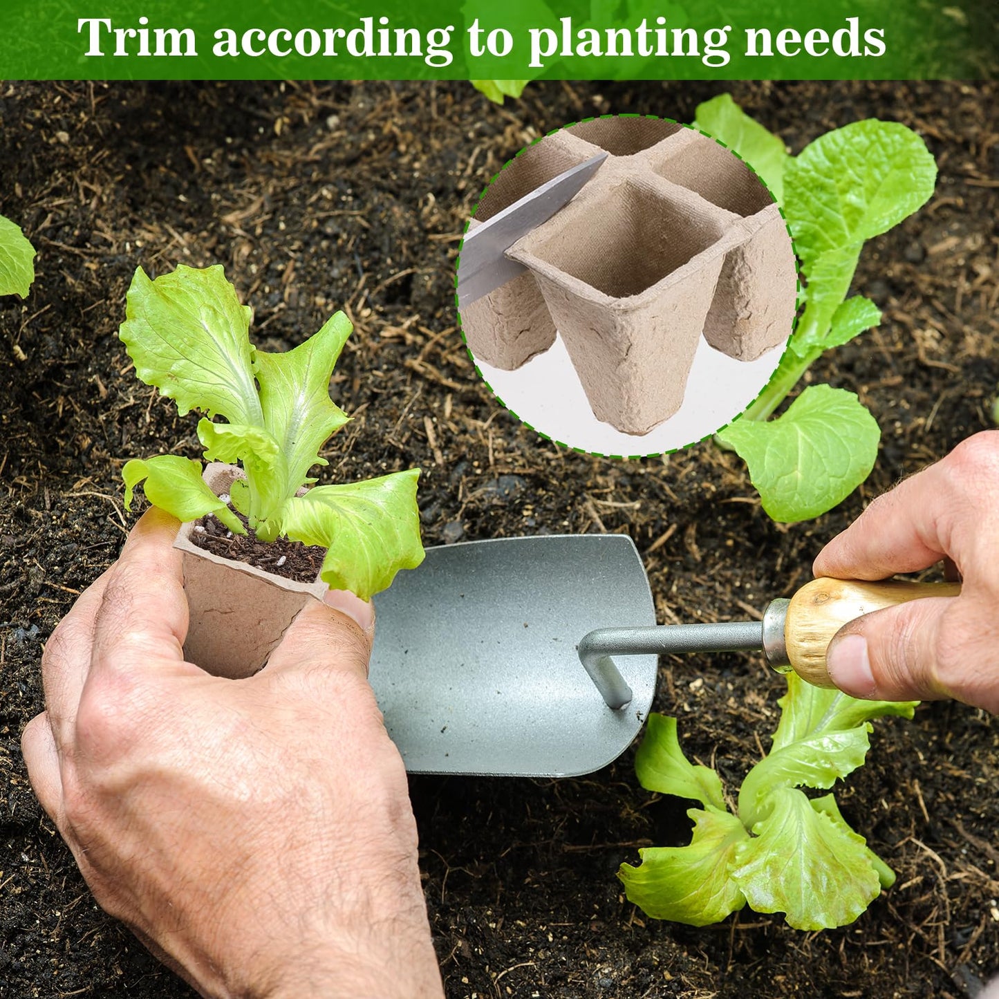 Doter 10 Packs Seedling Starter Trays 120 Cells, Biodegradable Seed Germination Trays Plant Starter Peat Pots for Seedlings