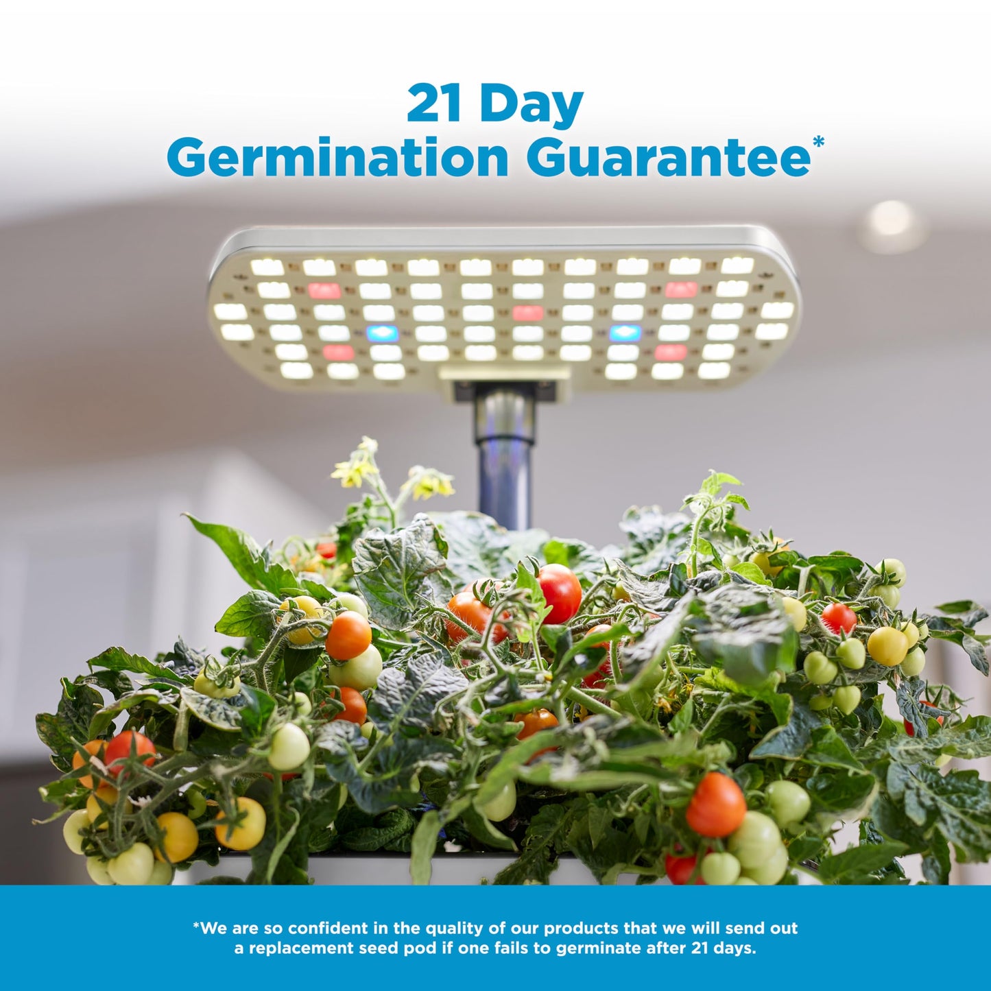 AeroGarden Harvest Lite in Cream, Soil-Free Indoor Hydroponic Garden with LED Grow Light for Year-Round Gardening of up to 6 Herbs and Vegetables