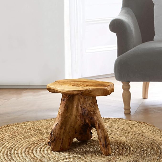 UKN Cedar Roots Naturally Shaped Mushroom Stool Side Table Stand Natural Cabin