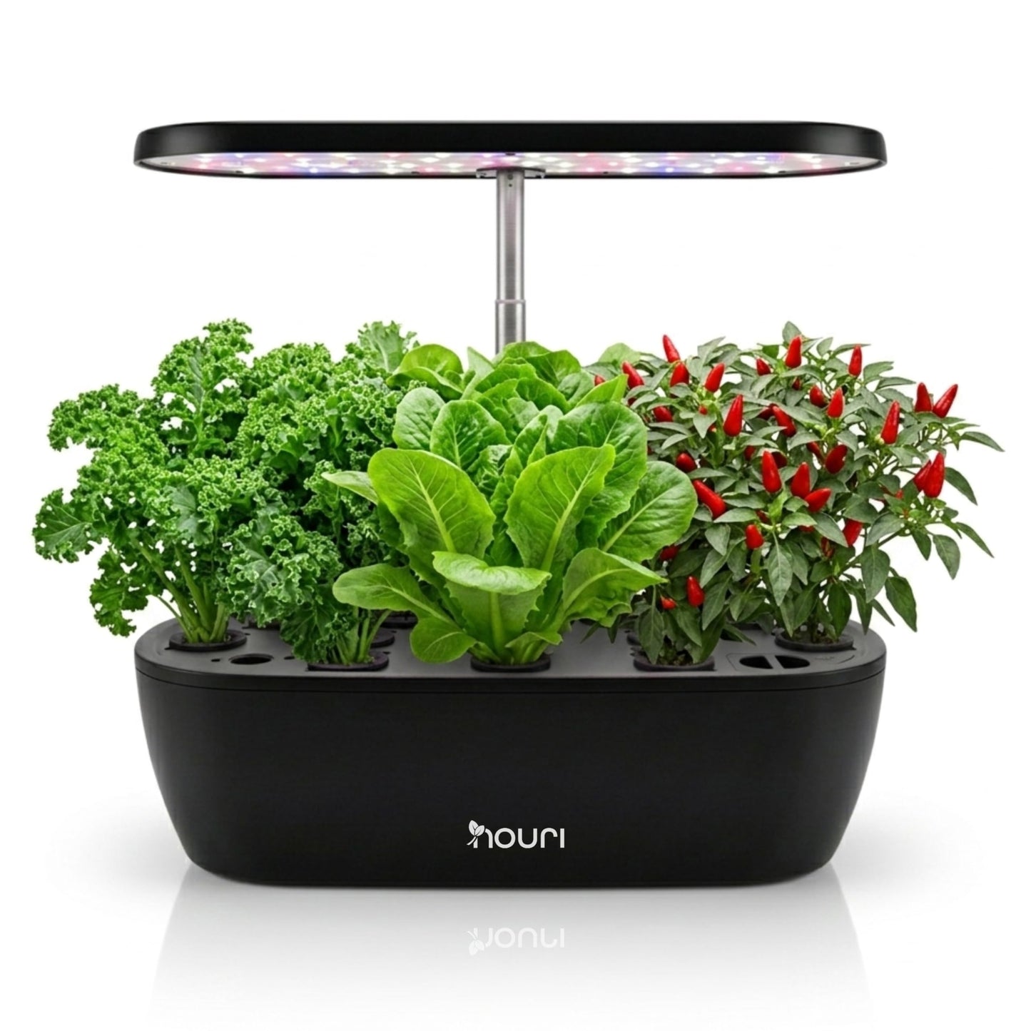 Nouri Hydroponics Growing System, 12 pod Smart Indoor Herb Garden Kit with LED Grow Lights, Hydroponic Herb Garden Indoor for Plant Lovers, Gardeners, Kitchen, Basil Seeds Included