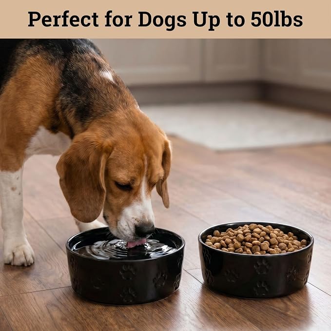 Ceramic Dog Bowl Set of 2 with Anti-Skid Base - 6.5" Wide x 2.5" Tall Ceramic Dog Bowls Medium Sized Dogs - 3.8 Cup Capacity Food and Water Bowls for Dogs - Rubber Bottom Pet Bowl Set of 2 Medium Size