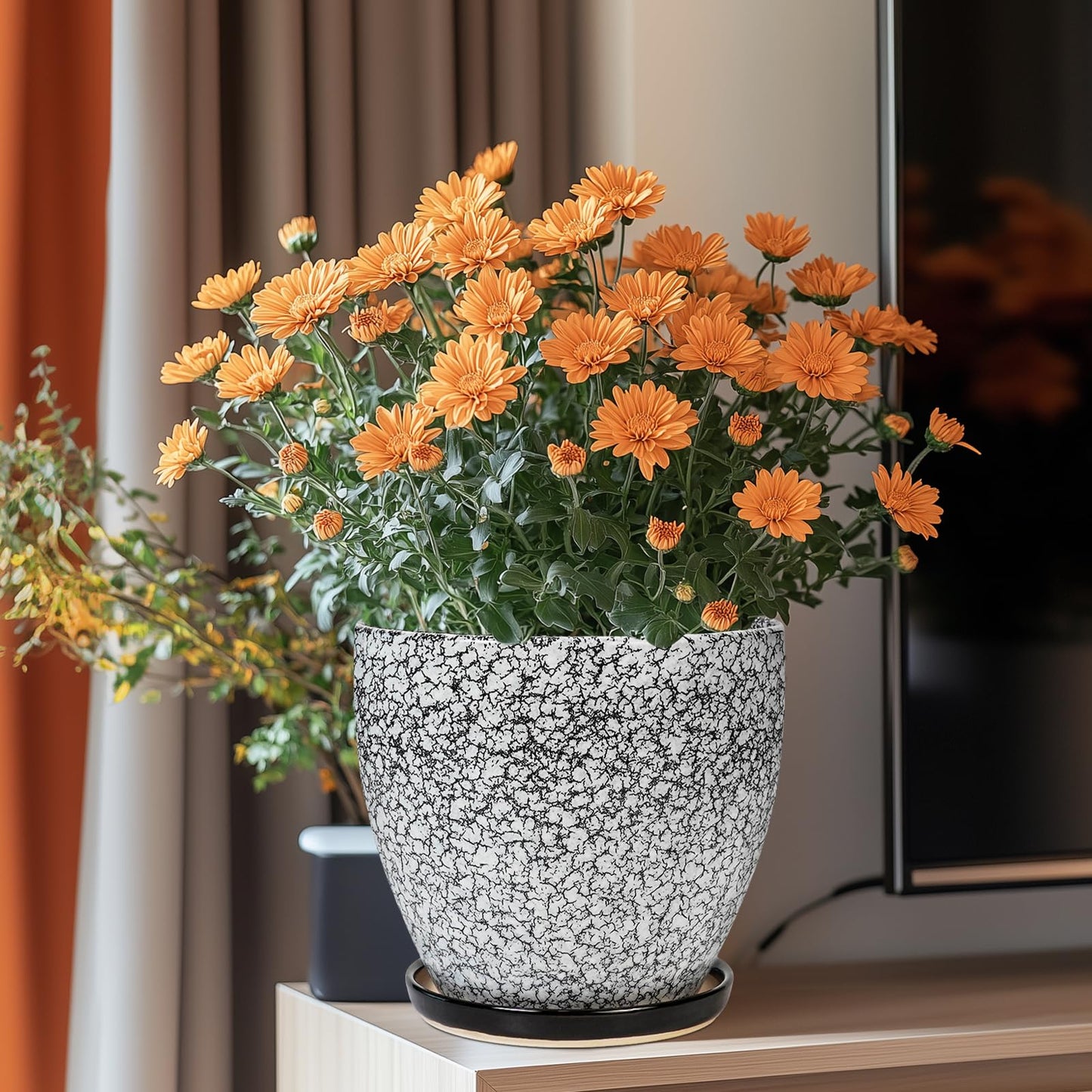 EPFamily Ceraimc Plant Pot - 8 Inch Planter with Drainage and Saucer, Modern Round Planter, Flower Pot for Indoor Outdoor Plants, Home Room Garden Apartment Decor, Gifts for Plant Lovers, White-Black