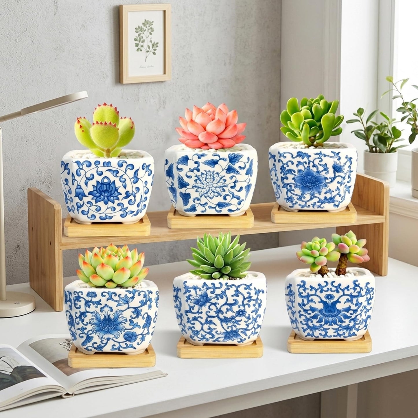 celamos Succulent Pots 6 Pack, Small Flower Pots with Drainage Bamboo Tray, Succulent Pots for Indoor Plants, Cactus Pots and Planters, Decorative Small Pots for Home Office