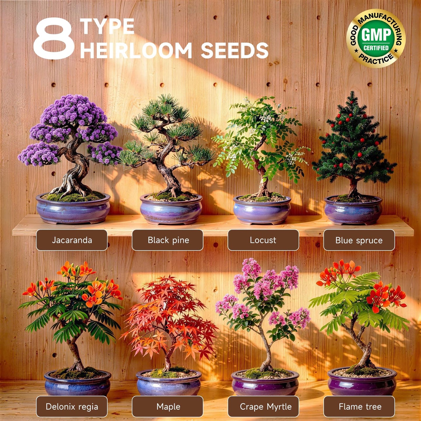 Bonsai Tree Starter Kit – 8 Varieties Indoor Bonsai Trees Plant Seeds with Drainage Design Pots, Gardening Gifts for Women, High-Value Plant Gifts