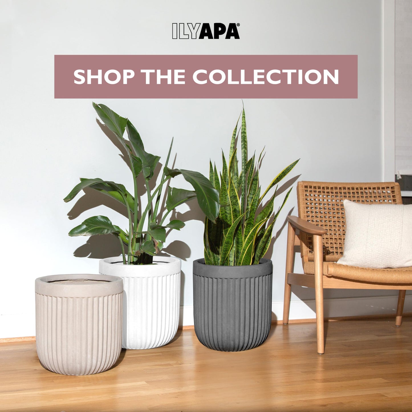 Ilyapa 14 Inch Large Fluted Modern Concrete Planter - 14x14 Inch Indoor Plant Pots with Drainage - Large Black Planters for Indoor/Outdoor Use
