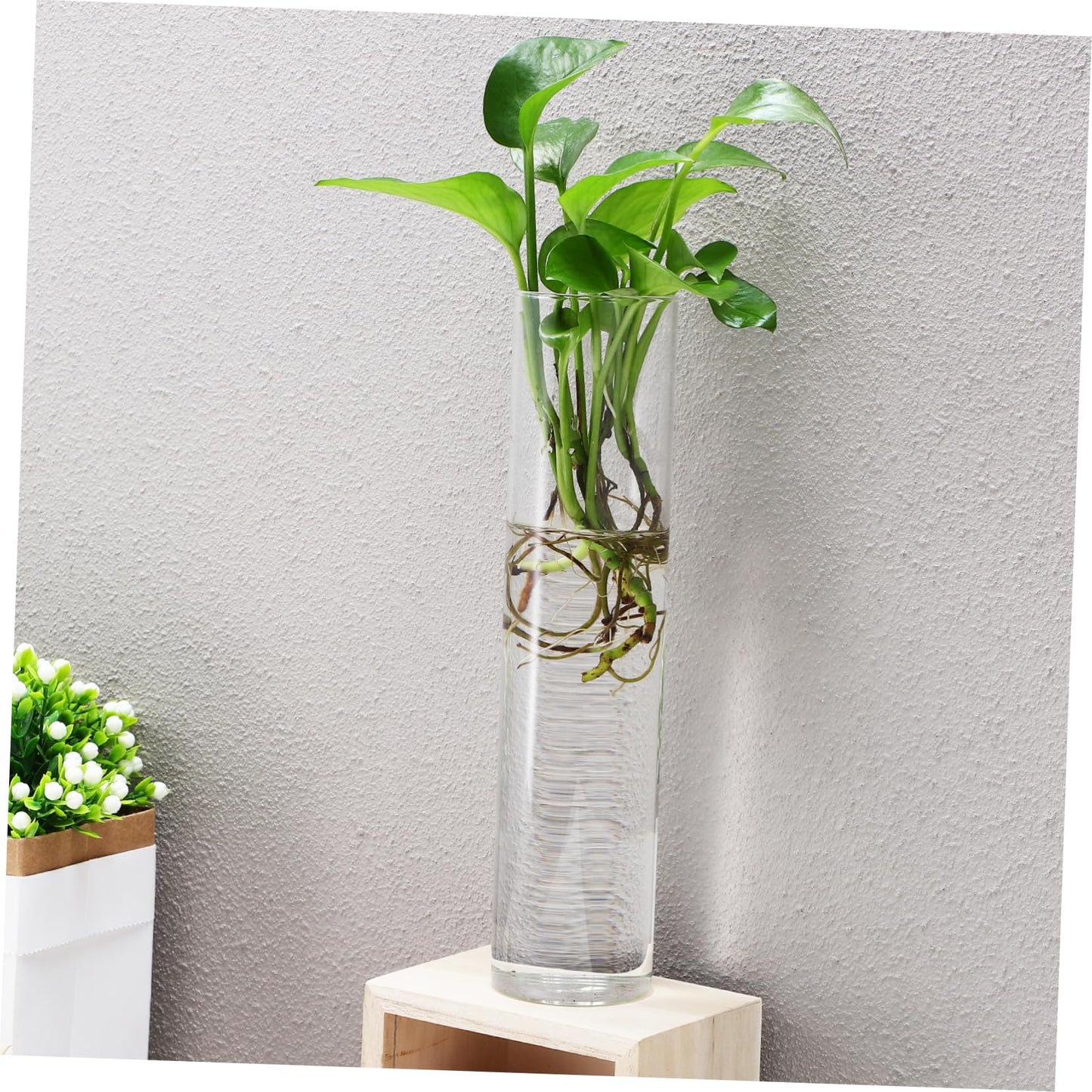 VANZACK 2pcs Cylinder Glass Wall Vases Hanging Terrarium Planters for Indoor Plants Easy to Install Propagation Stations for Home and Office Decor