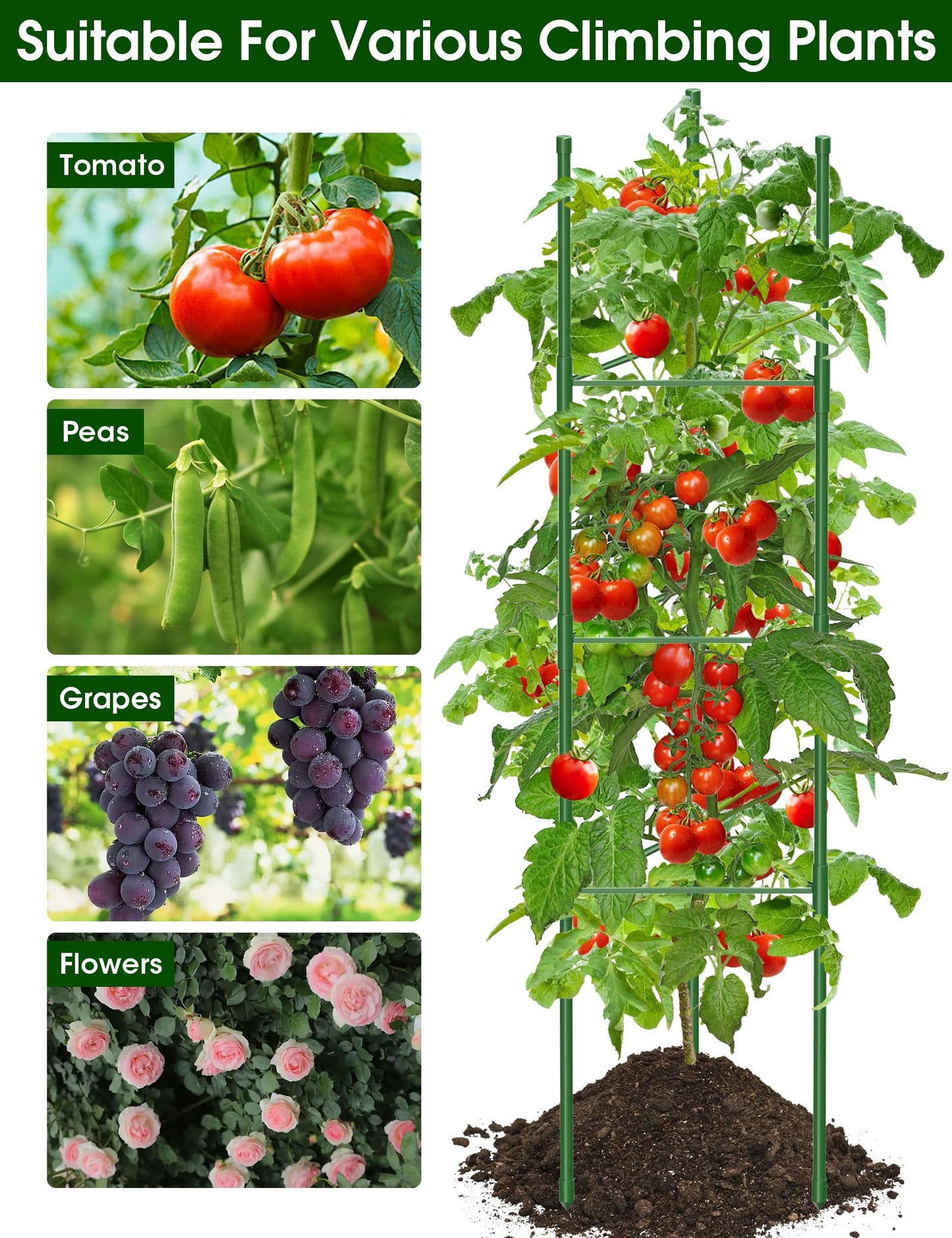 Tomato Cages,6 Pack MQJIAZHI 51.2inch Adjustable - Rust-Proof Tool-Free Trellis for Raised Garden Bed & Climbing Plants