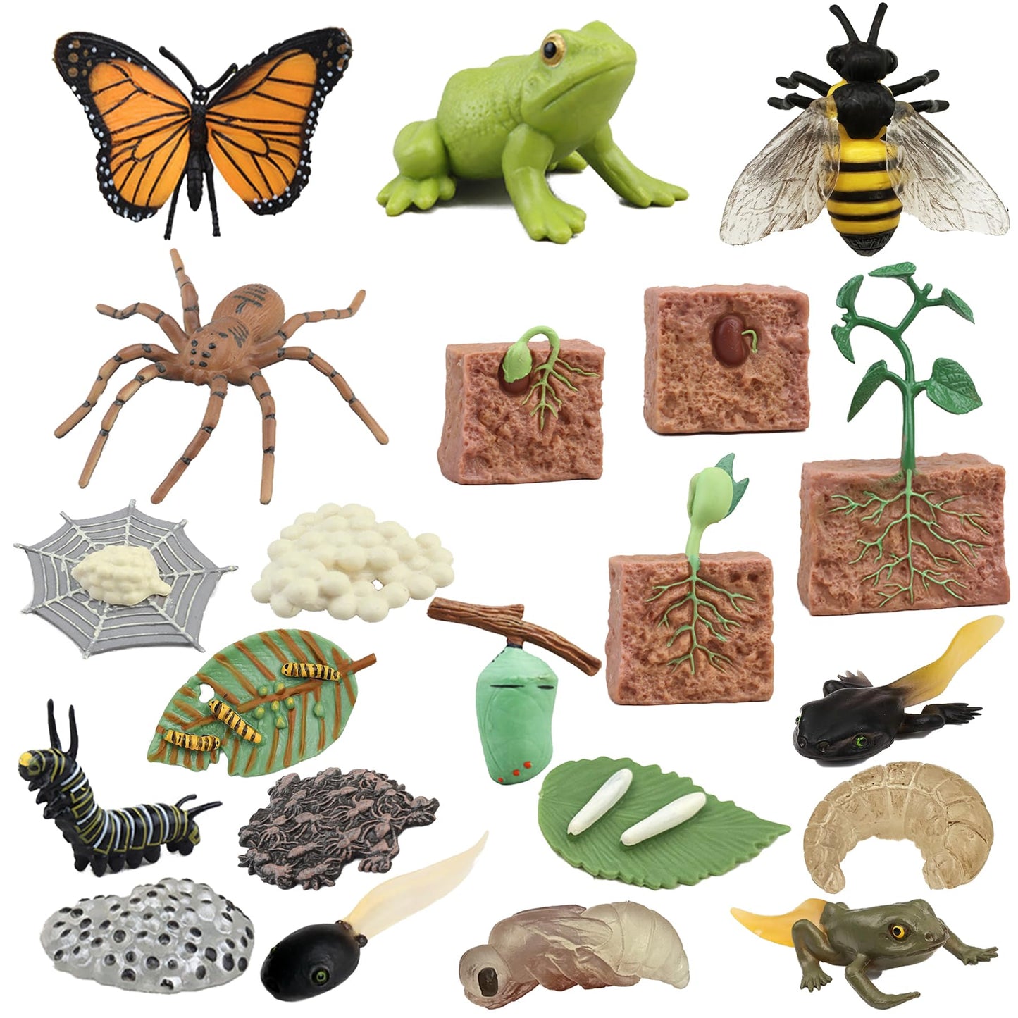 Mbrain 4pcs Bee Growth Cycle with Flash Cards,Life Cycle Learning & Education Toys,Montessori Toys,Gift for Girl & Boy for 3 4 5 6 7 Year Old (Bee)