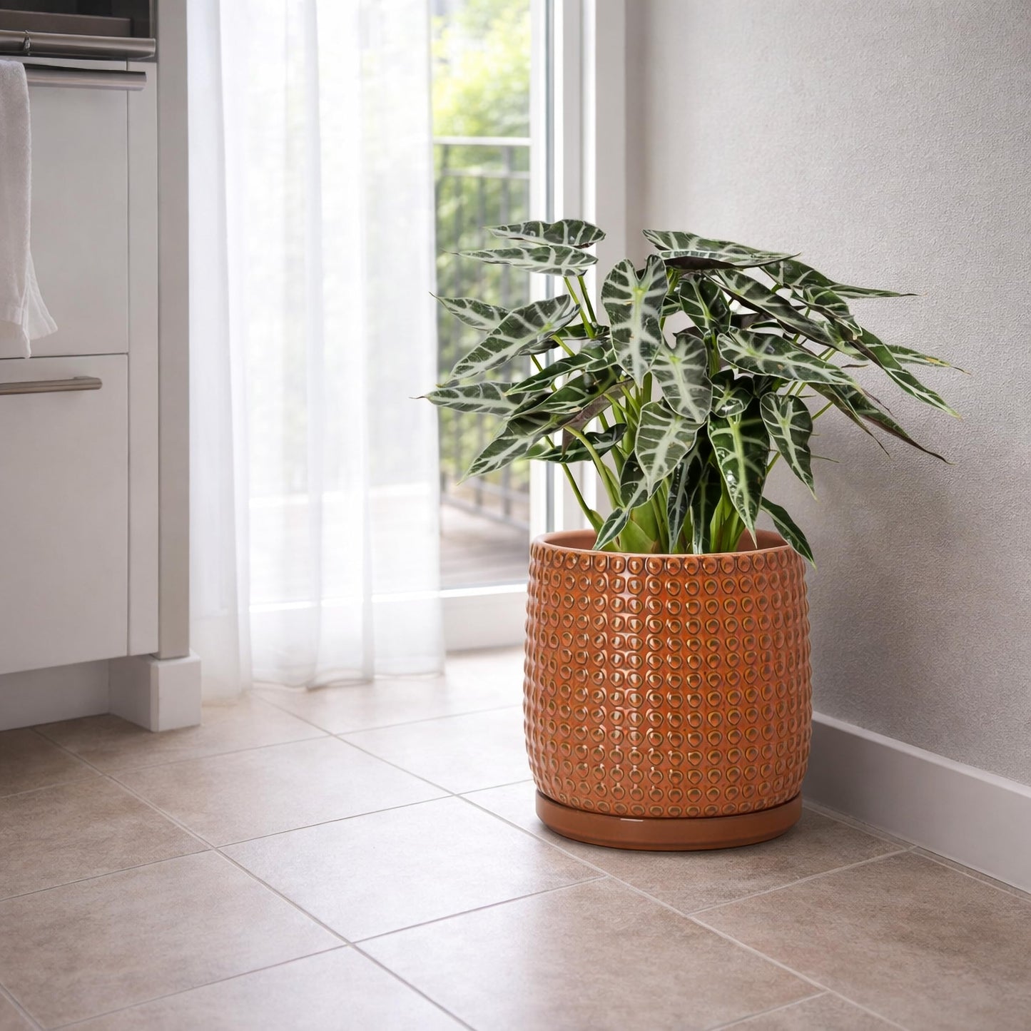 D'vine Dev 8 Inch Ceramic Beaded Stoneware Planter Pot - Flower Pot with Drainage Holes and Saucers for Indoor Succulent Plants or Flowers, Pumpkin, 27-C-Q-J