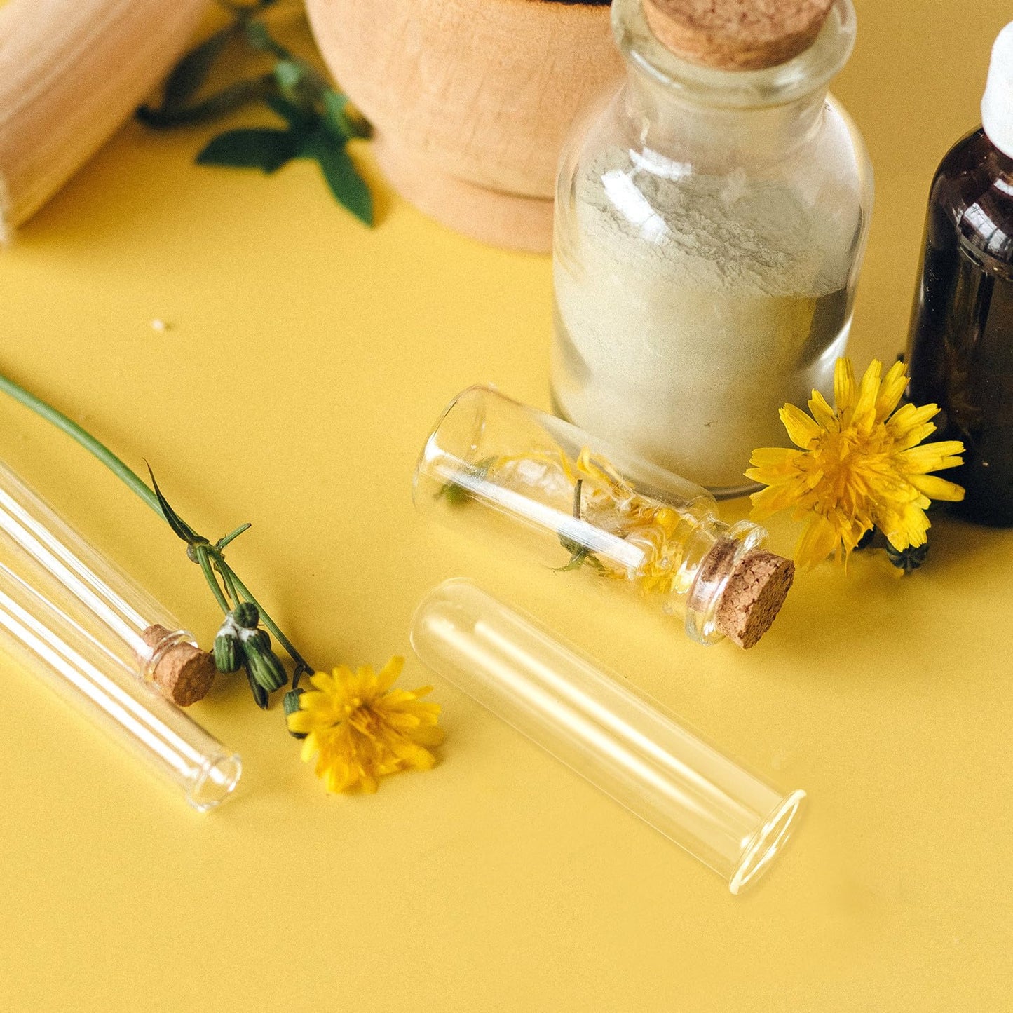 Zerodeko 5pcs Glass Test Tube Vases Set 2.5x3x11cm Floral Water Tubes Hydroponic Propagation Station for Small Plant Terrariums and Home Décor
