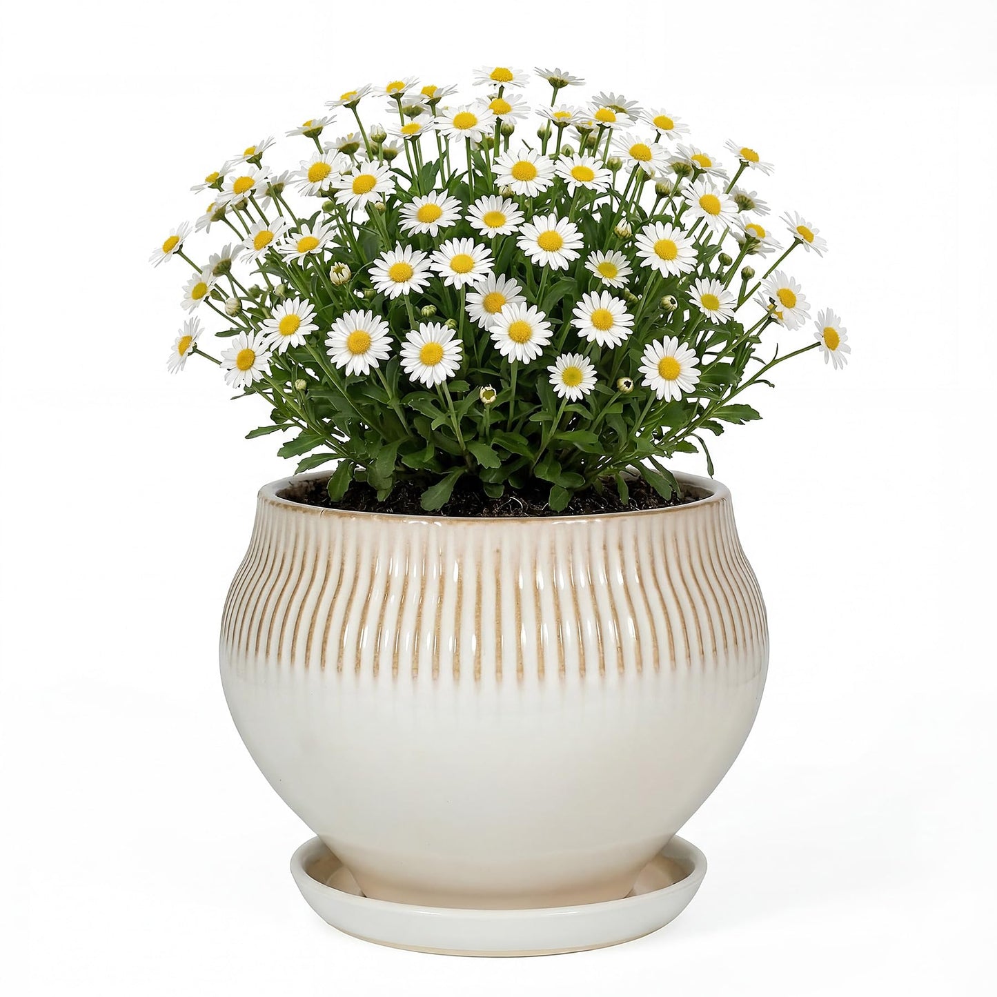 SAFIOROIS 8.3 Inch Modern Ceramic Plant Pot with Drainage Hole and Mesh Net, Indoor Outdoor Planter with Saucer & Gardening Glove, Pots for Succulents, Flowers, Large Plants, White