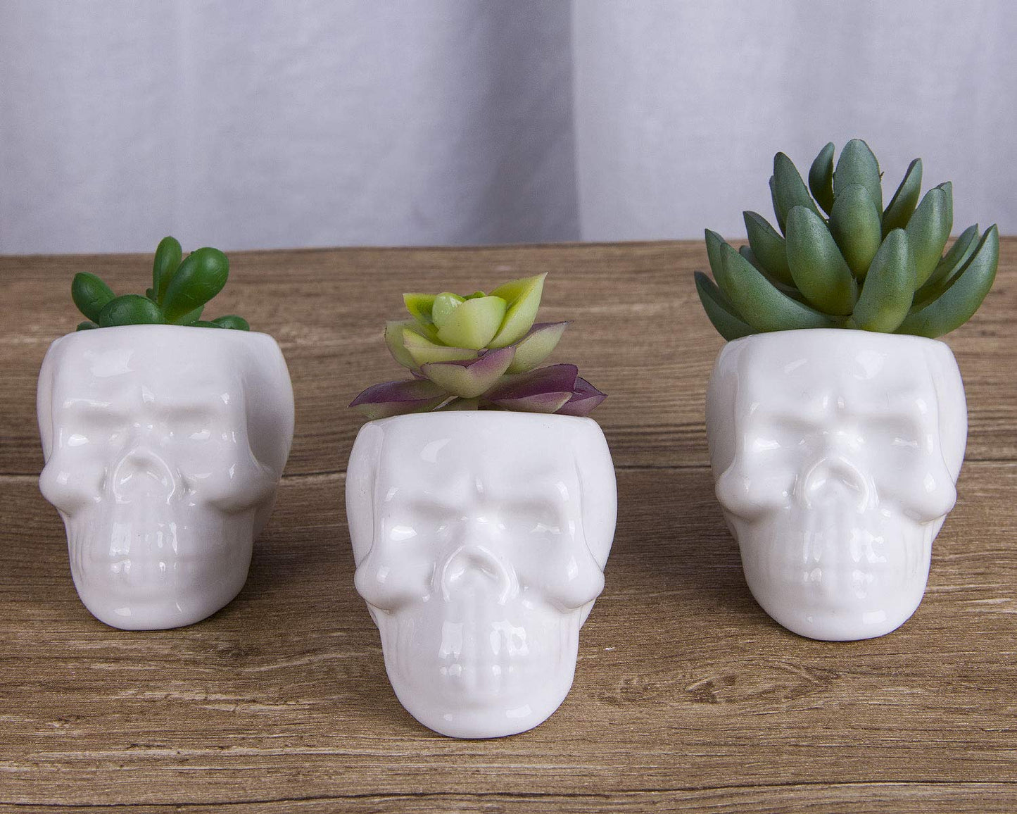 VanEnjoy Set of 3 Ceramic Skull Succulent Pots and Planters Creative Cactus Plant Pot Pen Pencil Holder, Home Office Bedroom Desk Decoration