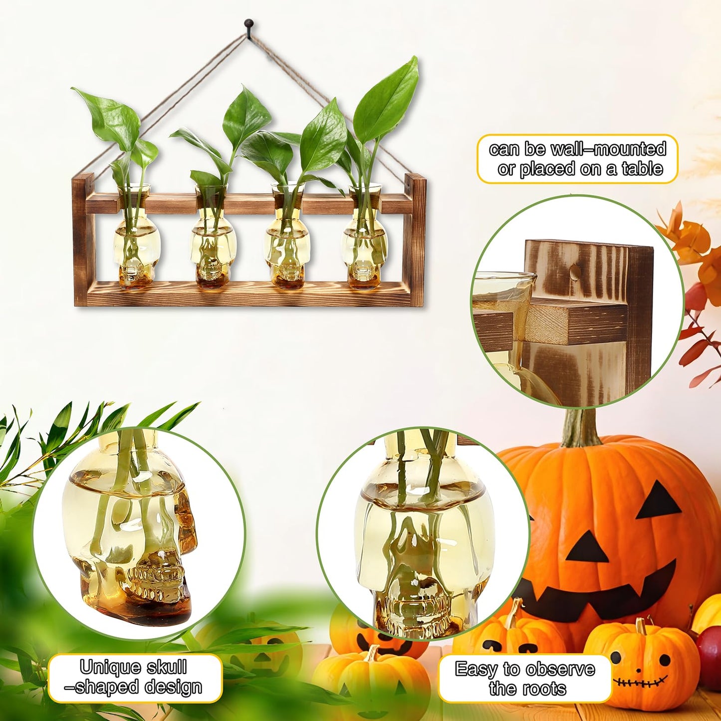 Plant Propagation Stations Halloween Skull Plant Terrarium Kit Glass Vases Gift for Father Air Planter Home Office Decor