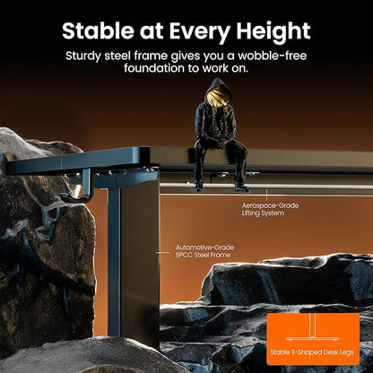 ErGear Height Adjustable Electric Standing Desk, 44 x 24 Inches Sit Stand up Desk, Memory Computer Home Office Desk, Black