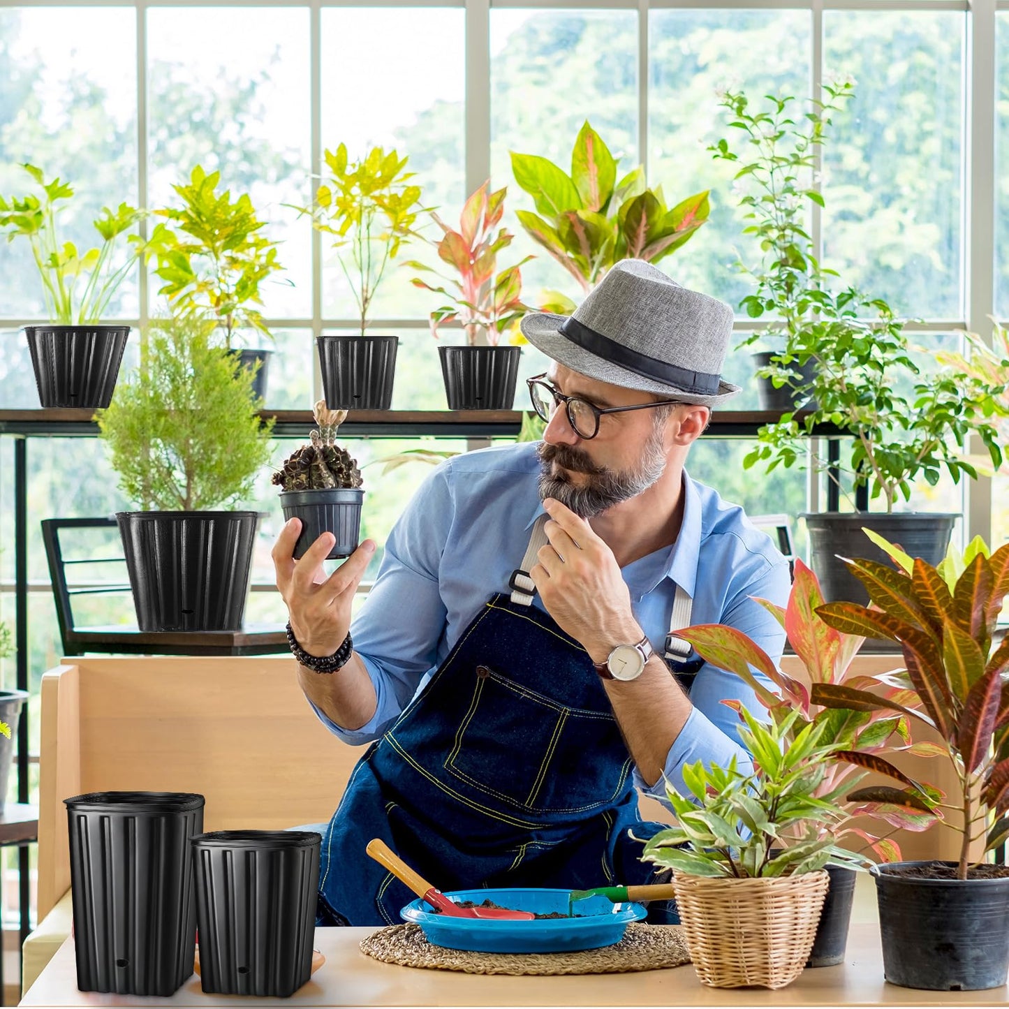 Dandat 100 Pcs Tall Tree Pots, Plastic Deep Plant Nursery Pots, Tall Seedling Flower Plant Container Starting Pots with Drainage Holes for Indoor Outdoor Gardening (5 Size 7.6"+9.8"+11"+11.4"+12.2"H)