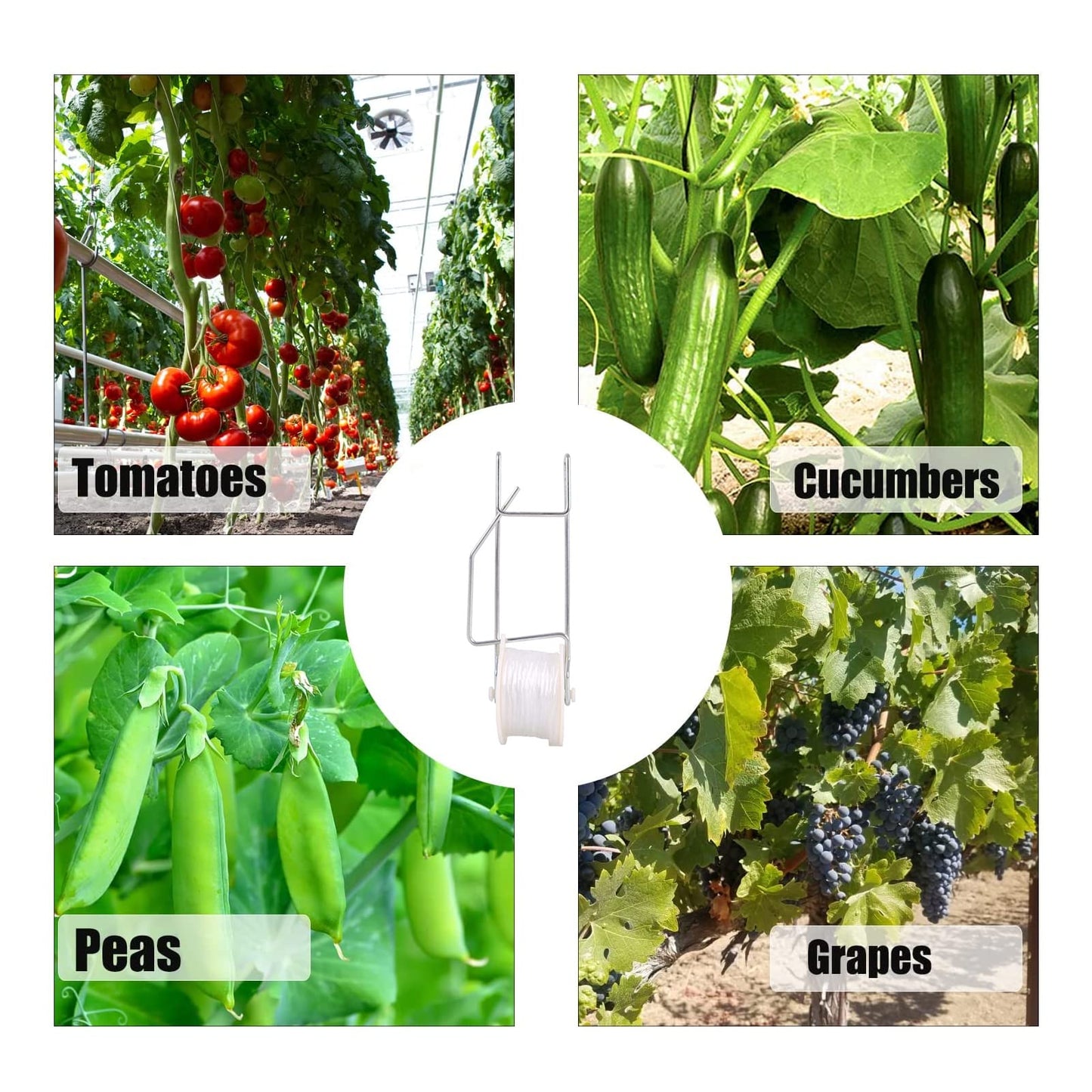 Greenhouse Trellising Kit 10PCS Plant Roller Hooks with 100PCS Tomato Support Clips for Tomato,Plant, Greenhouse,Flower Vine Twine Crop Trellis Kits