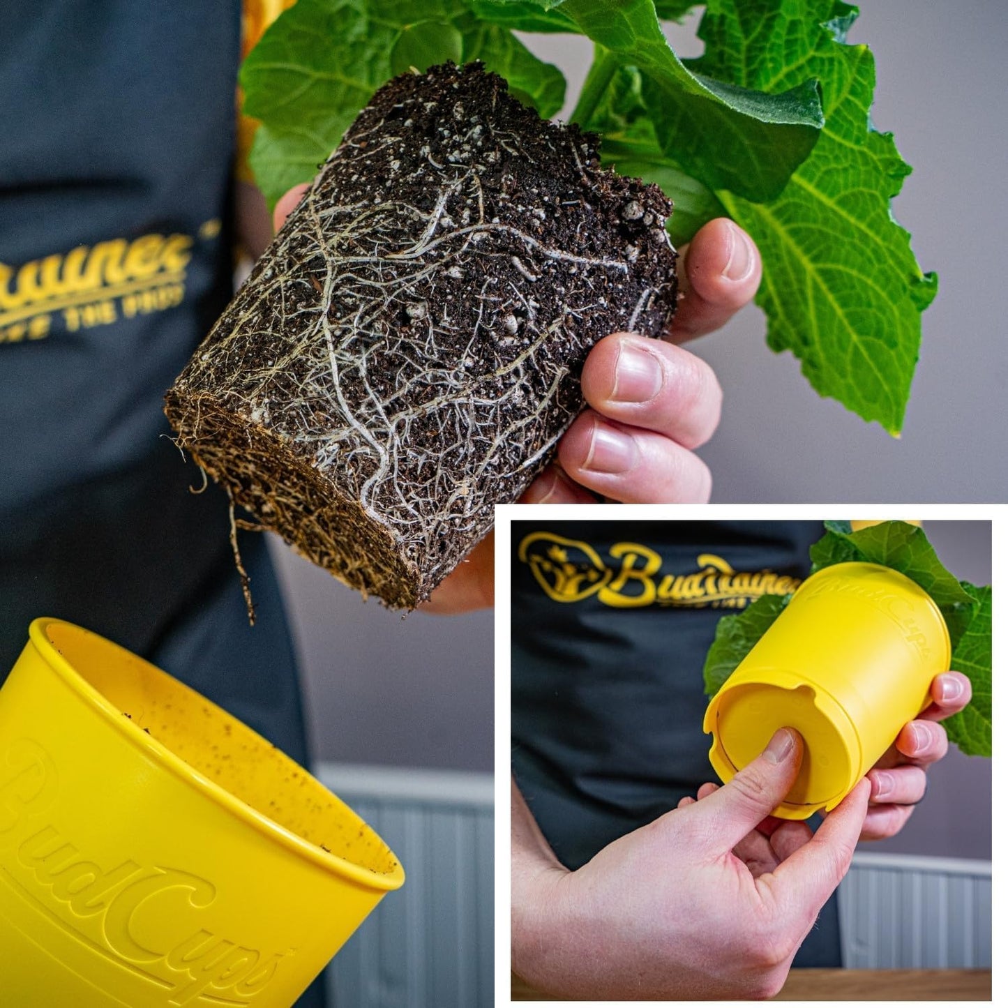 BudTrainer BudCups for Optimal Gardening | 16oz Nursery Pots | Removable Bottom Plate for Easy & Shock-Free Transplant | Triple Drainage for Water Control to Prevent Root Rot (Yellow, 5-Pack)
