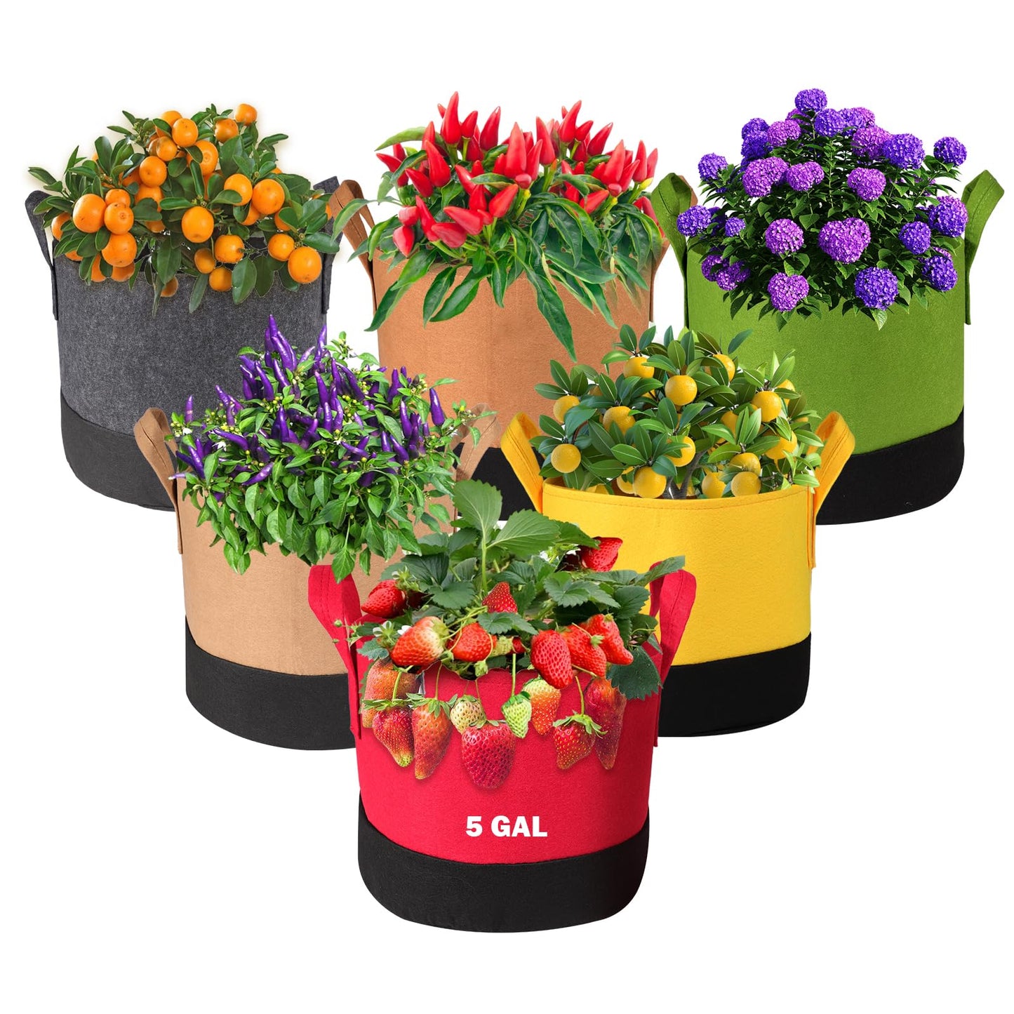 Xmpmrb Grow Bags 5Gal/7Gal/10Gal * 2 ，6 Pack Vegetable/Flower/Plant Grow Bags ，Plant Fabric Pots with Handles for Garden and Outdoor Planting (6 Colour, 5 Gallon)