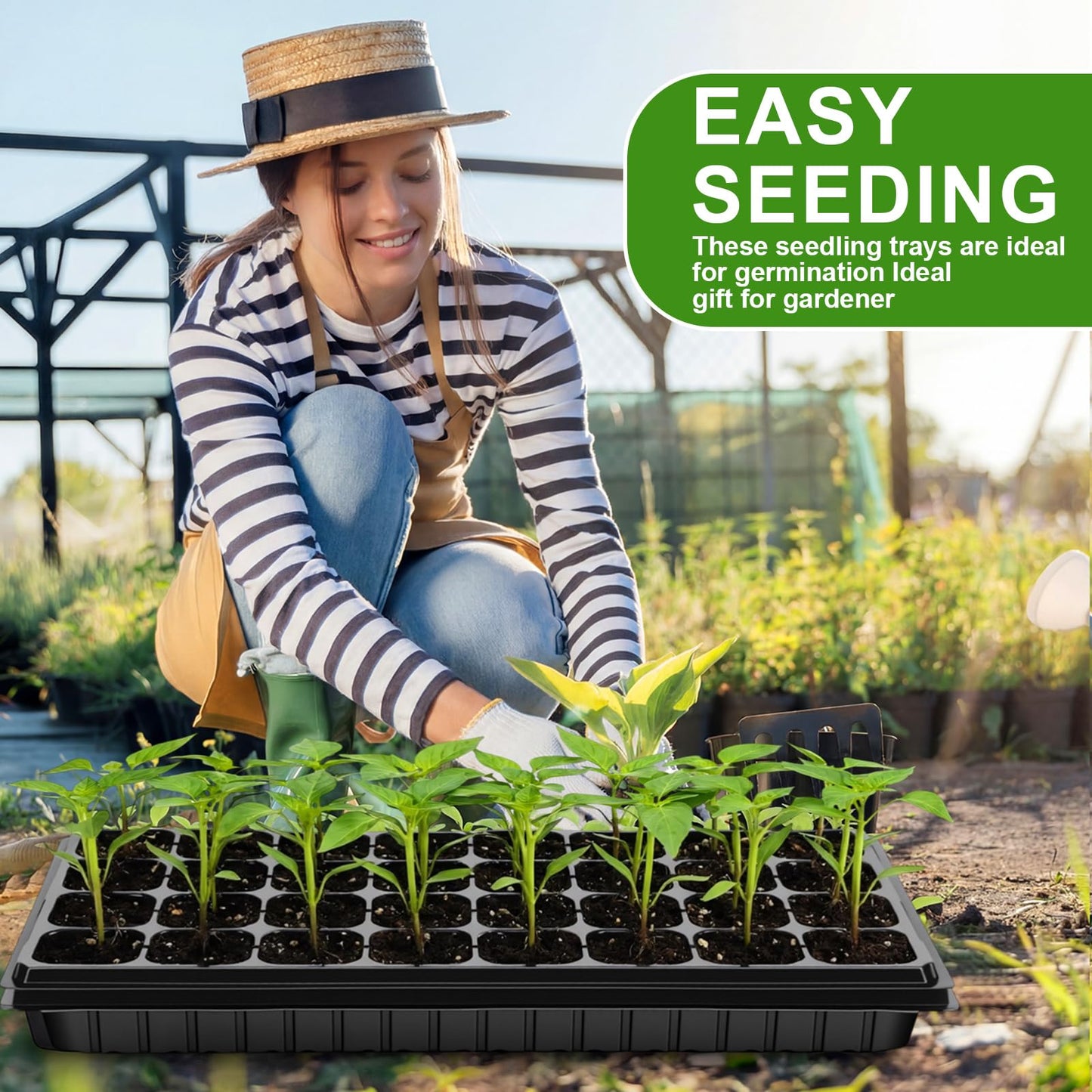 Vesici 32 Pack Seed Starter Trays, 32 Cell Seedling Trays with 1020 Flat Tray, Deep Plug Nursery Plant Pots for Germination, Water Collection, Indoor Outdoor Seed Starting & Transplanting