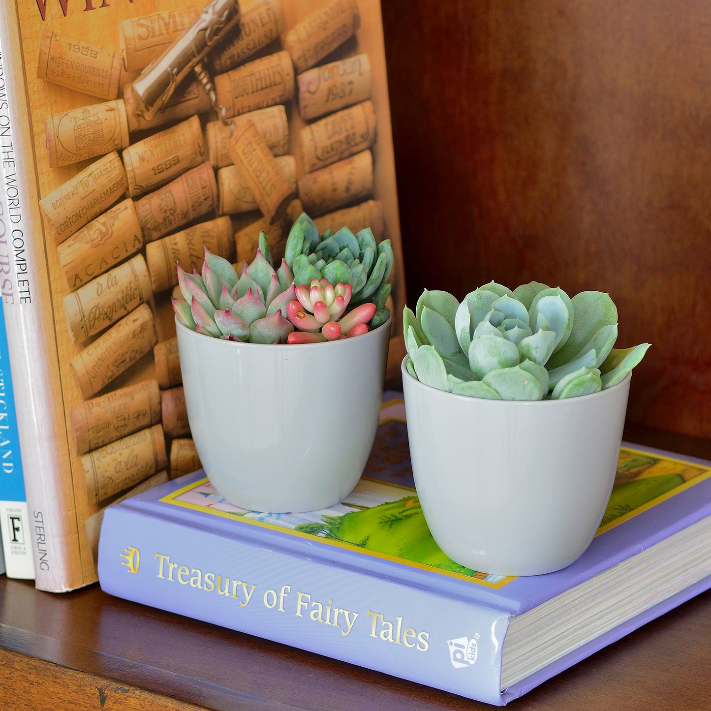 Youngever 10 Pack 3 Inch Mini Plastic Planters Indoor Flower Plant Pots, Grey Gardening Pot with Drainage for All House Plants, Flowers, Herbs, Succulents, NO Plant Included (Modern)