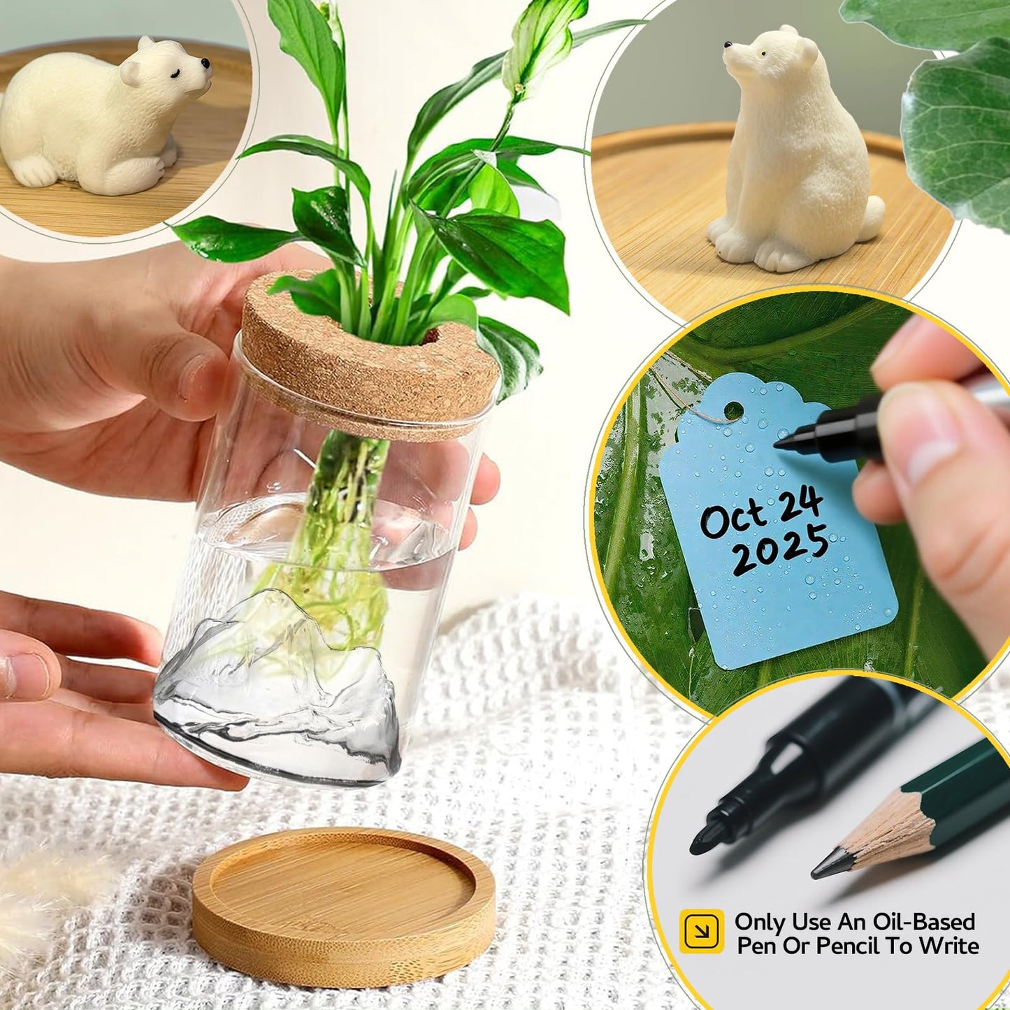 Plant Propagation Stations, 2Pcs Desktop Plants Terrarium Glass Hydroponic Vases with Bamboo Saucer, Water Plants Jars, Mountain-Shaped Bottom, Ideal Gifts for Women Mon Plant Lovers