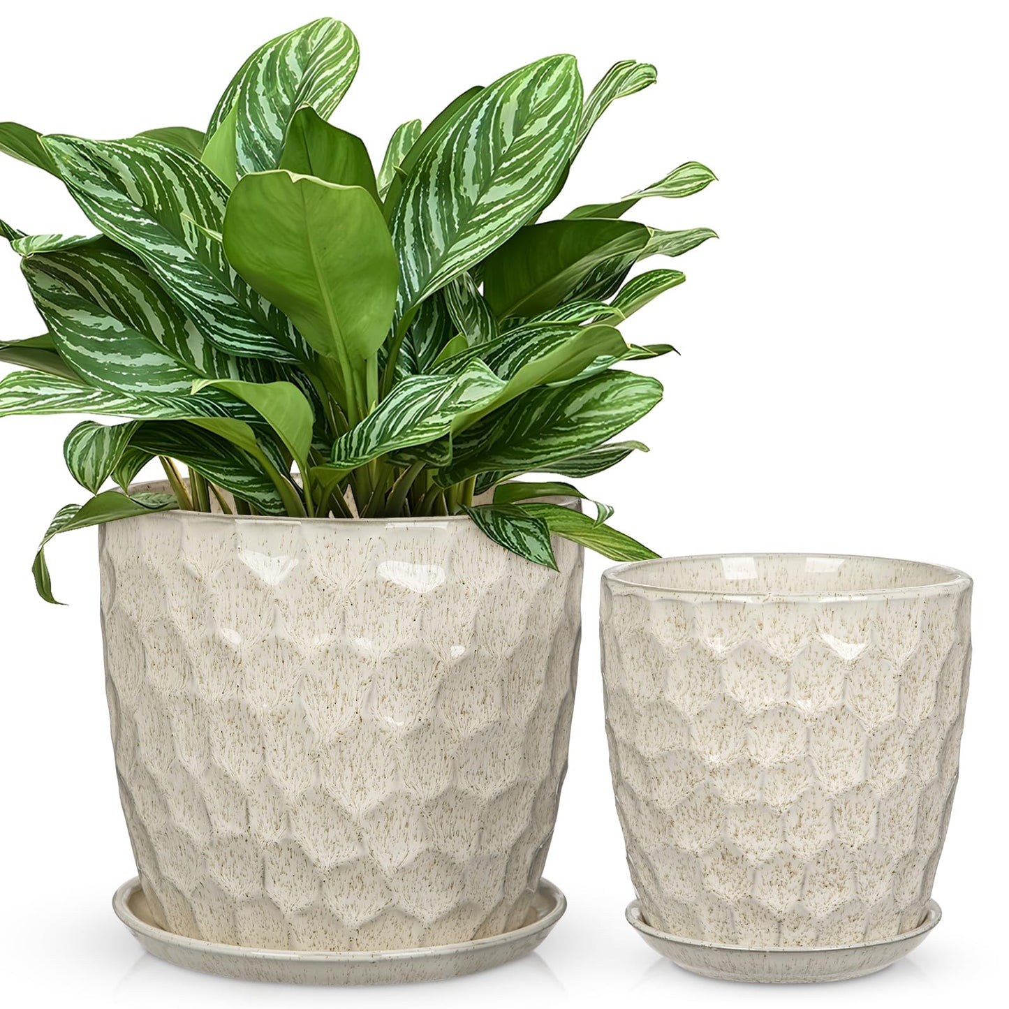 Hollyone White Ceramic Pot for Plants Flowers Ceramic Planter with Drainage Hole and Saucers 8 + 6.5 Inch Set of 2 Glaze Round Flower Plant Pot for Indoor Outdoor Large Succulent Orchid Flower Pot
