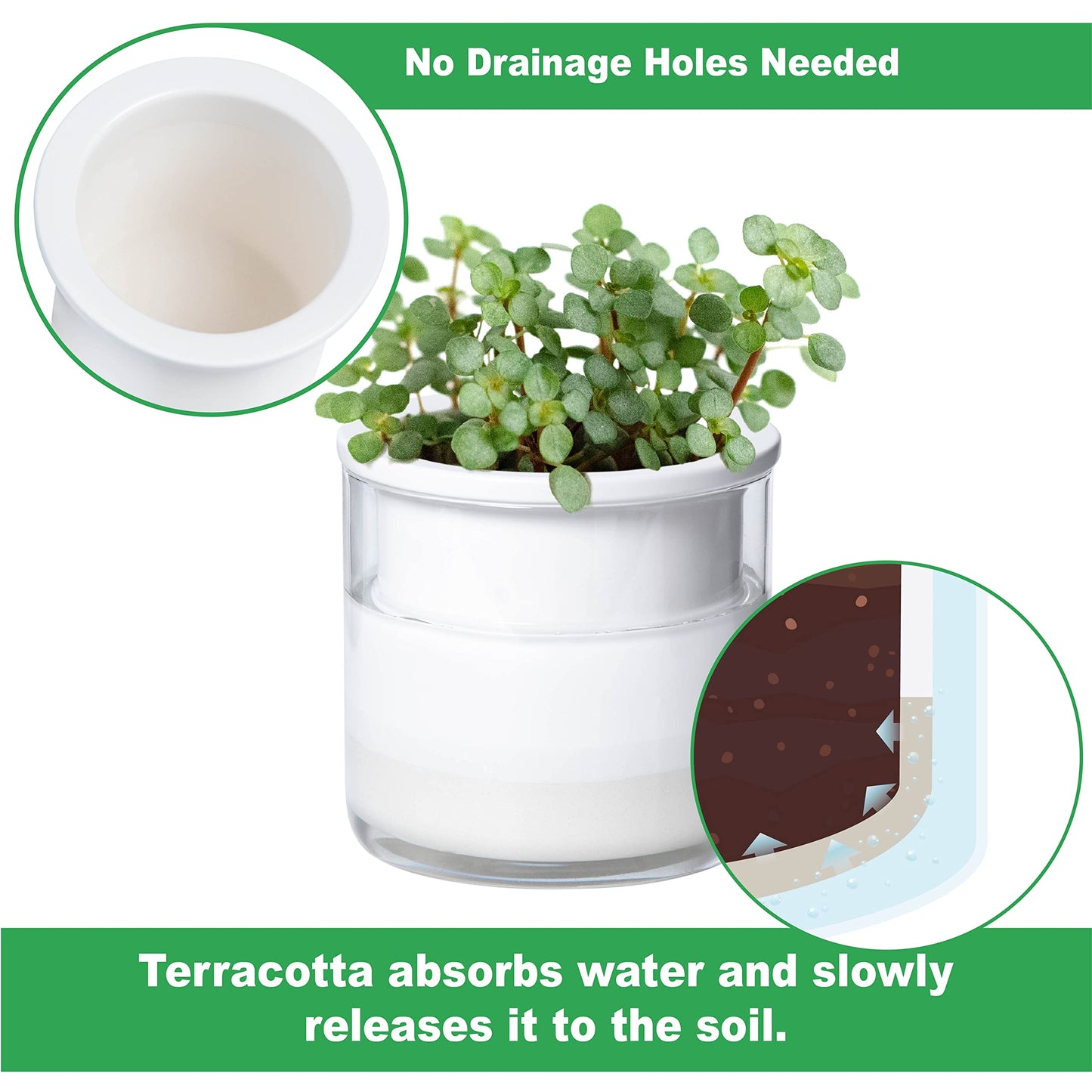 Phoenix Vine 4 Inch Self Watering Planter Pot, Design White Terracotta Pots for Plants, Indoor Cylinder Terra Cotta Pots with Glass Vase, Set of 4, 51-B-E-4