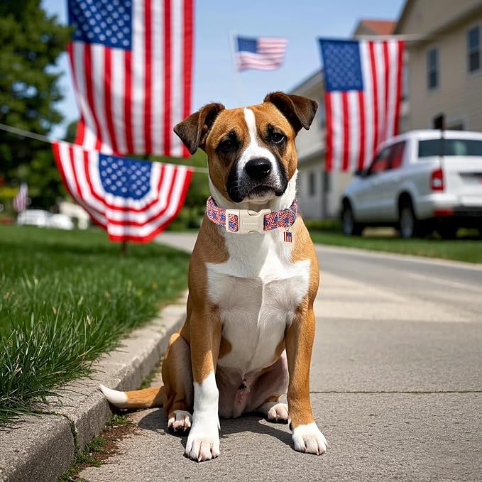 DOGWONG American Flag Dog Collar, Patriotic Independence Day Dog Collar Soft Fabric Pet Dog Collars, Boy Red White and Blue Necklace for Small Medium Large Dogs