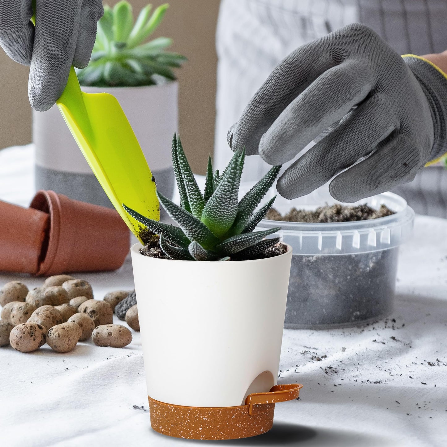 Lotyeter 4 inch Small Plant Pots for Outdoor Indoor Plants, 5 Pack Planters with Drainage Holes and Tray, Small Self Watering Pots for Succulent,Cactus, Aloe and Other Plants (White)