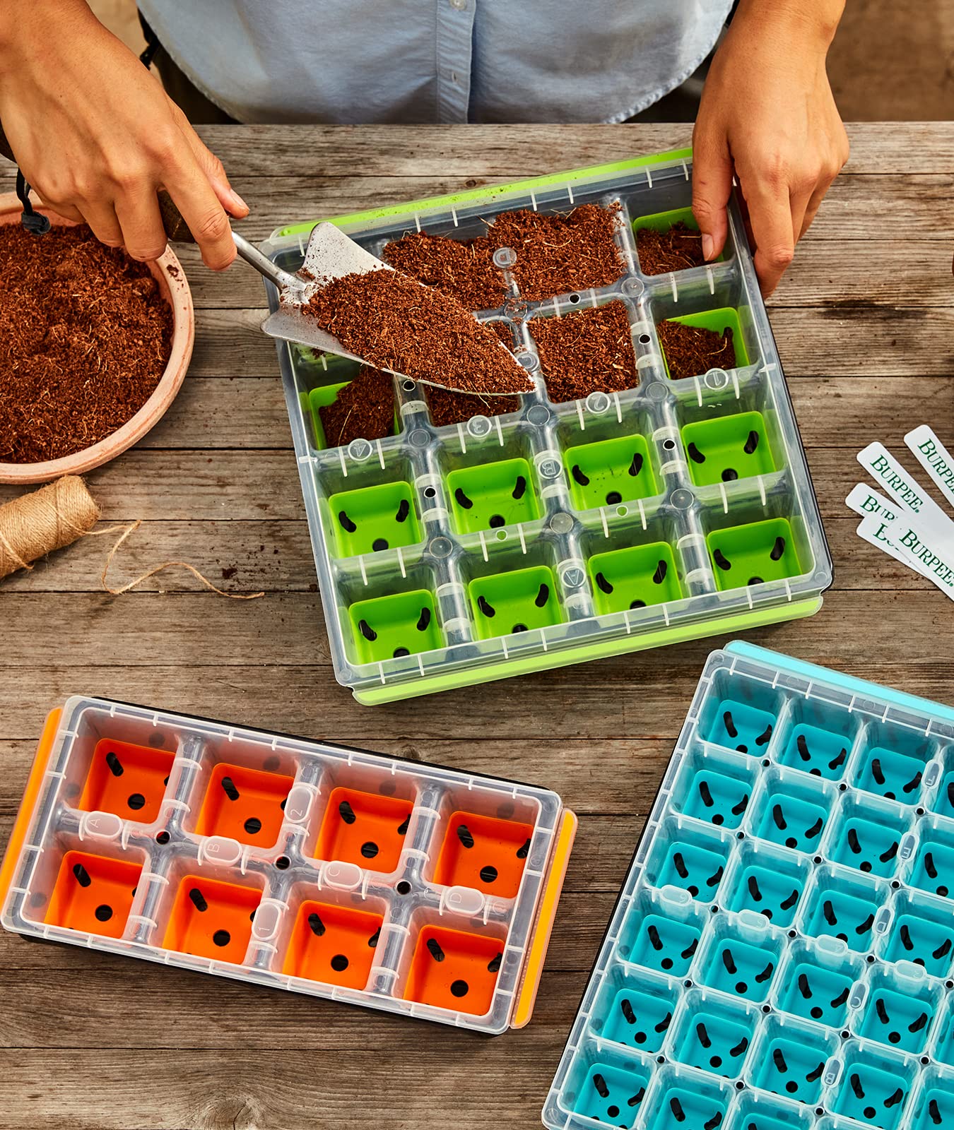 Burpee SuperSeed Windowsill Seed Starting Tray| 8 XL Cell| Reusable & Dishwasher Safe| for Vegetable, Flower & Herb Seeds| Window Garden Seed Starter Kit| Green