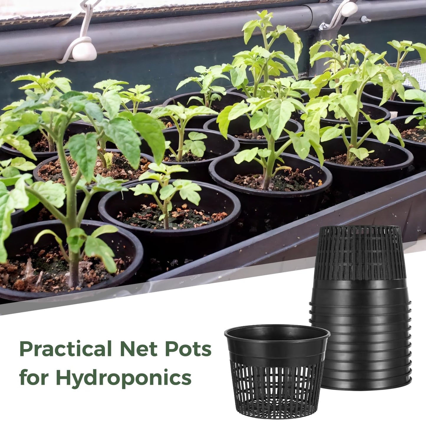 ZALIR 12 Pcs Net Pots for Hydroponics 6In - Plastic Root Control Pots with Drainage Holes, Ideal for Lily Plants, Lightweight and Stackable Design for Efficient Growth