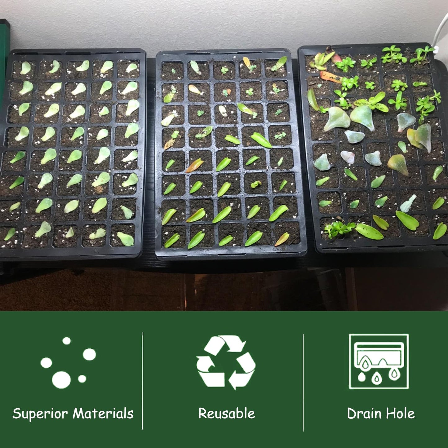 NICOLEKAY Seedling Trays Seed Starter Tray, 5-Pack Mini Propagator Plant Grow Kit Greenhouse with Humidity Vented Domes and Base for Seeds' Starting (40 Cells Per Tray, Total 200 Cells), Black