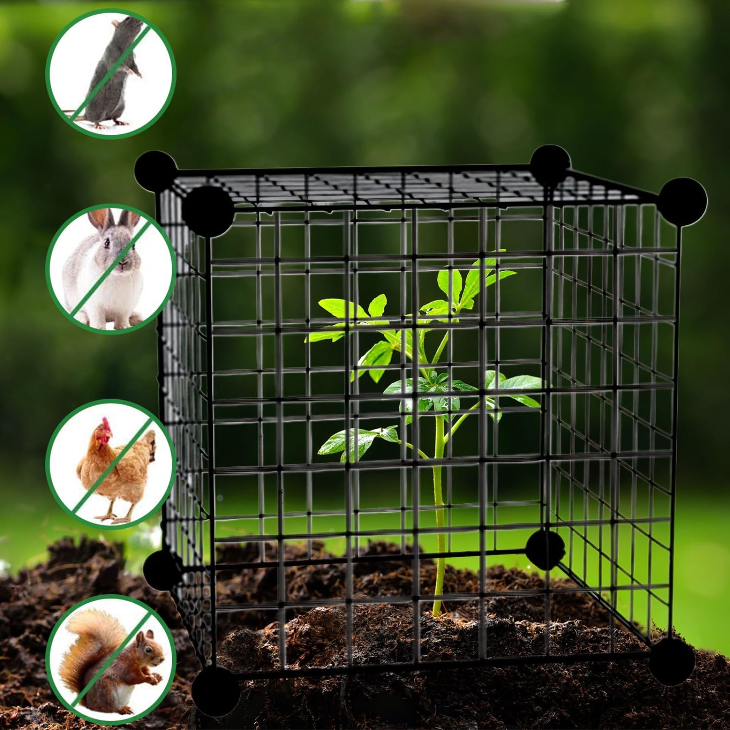Vistnale 5 Sheet Plant Protectors from Animals, 12x12 Plant Cage, Heavy Duty Chicken Wire Cloche with Fixed Buckle, Garden Cloches for Plants ＆ Pet Cage| Cages Supports