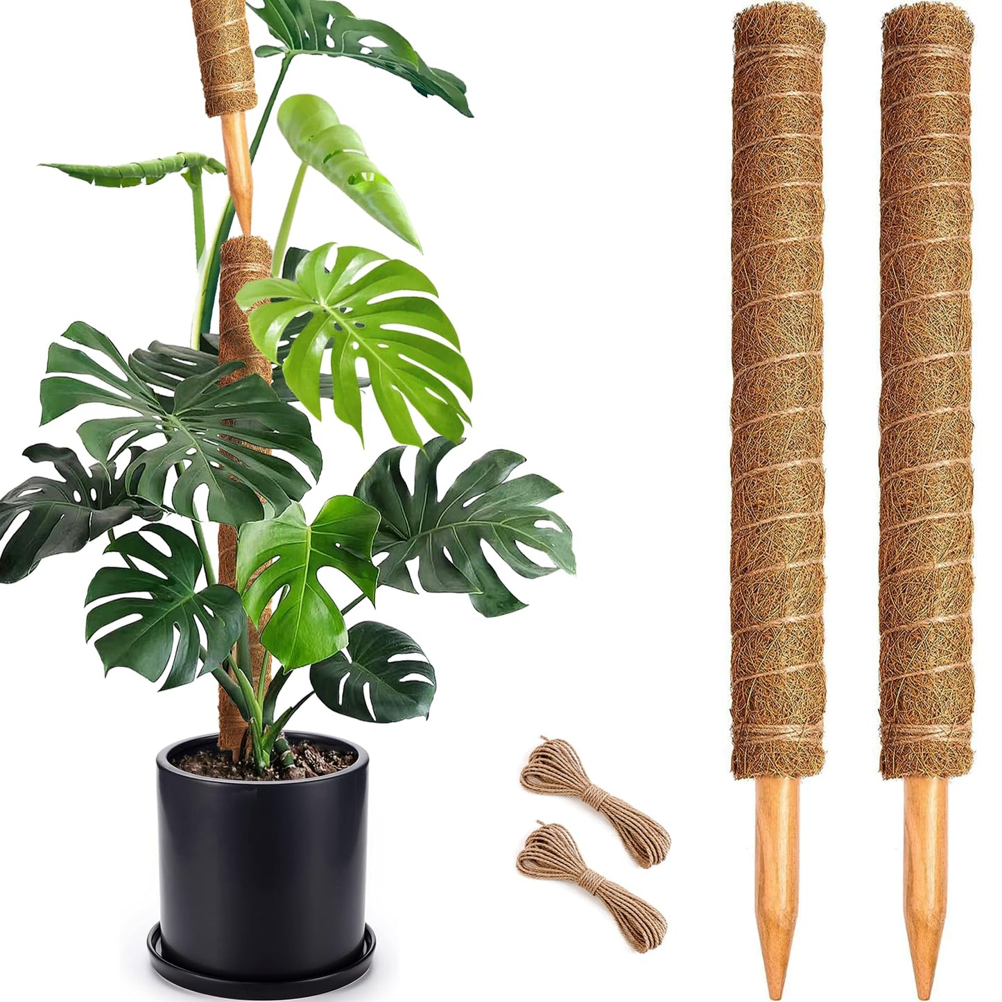 Soupiar 2 Pack 22 Inch Stackable Moss Pole - Thick & Sturdy Natural Coir Totem Plant Support & Garden Stakes for Monstera & Pothos, Indoor Climbing Vining Houseplants, 38" H Max