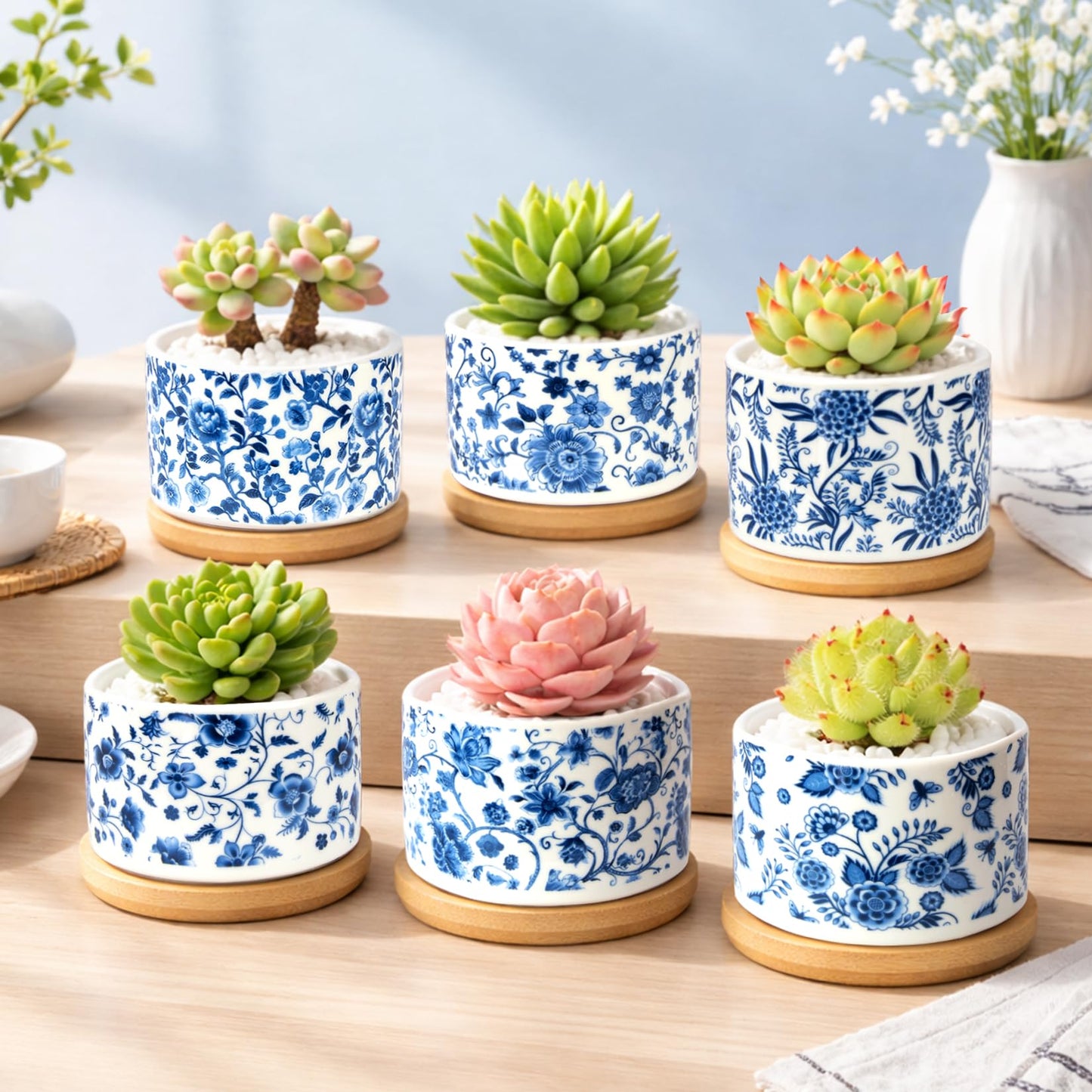 celamos Succulent Pots 6 Pack, Small Flower Pots with Drainage Bamboo Tray, Succulent Pots for Indoor Plants, Cactus Pots and Planters, Decorative Small Pots for Home Office